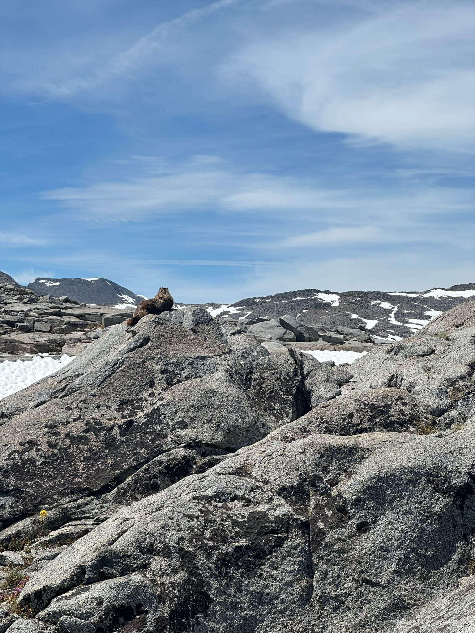 PCT Days 80 to 89 - Mosquito Hell