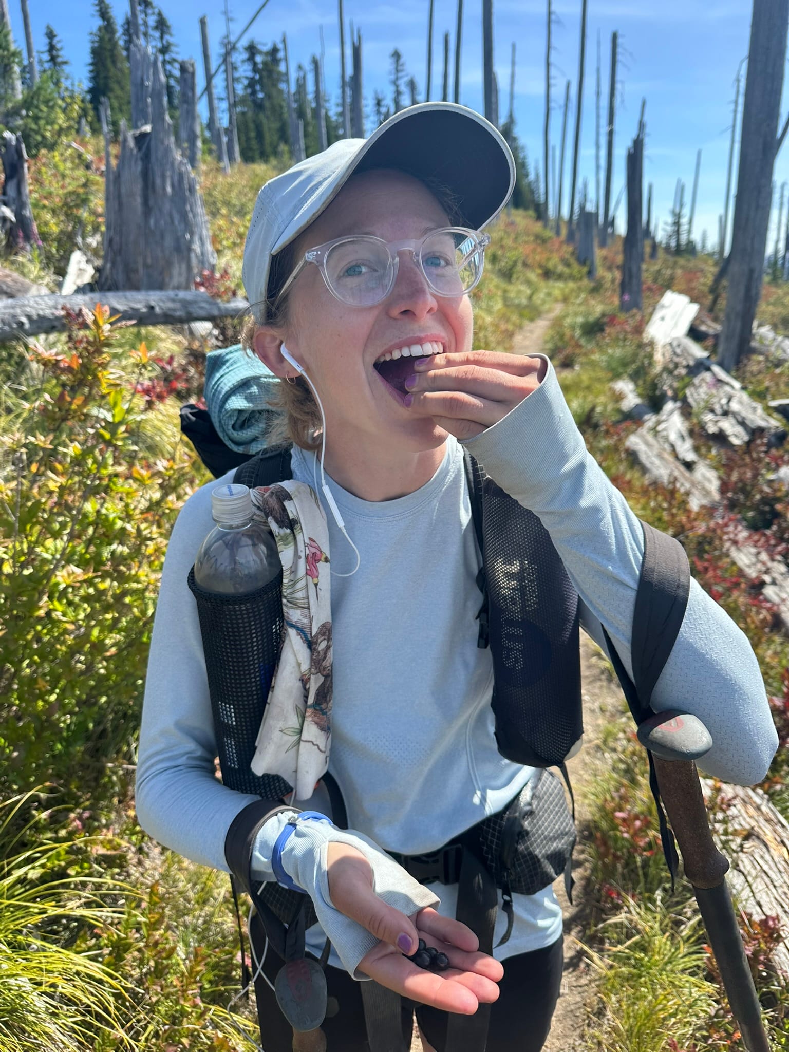 PCT Days 140 to 149 - The Trail Takes Its Toll