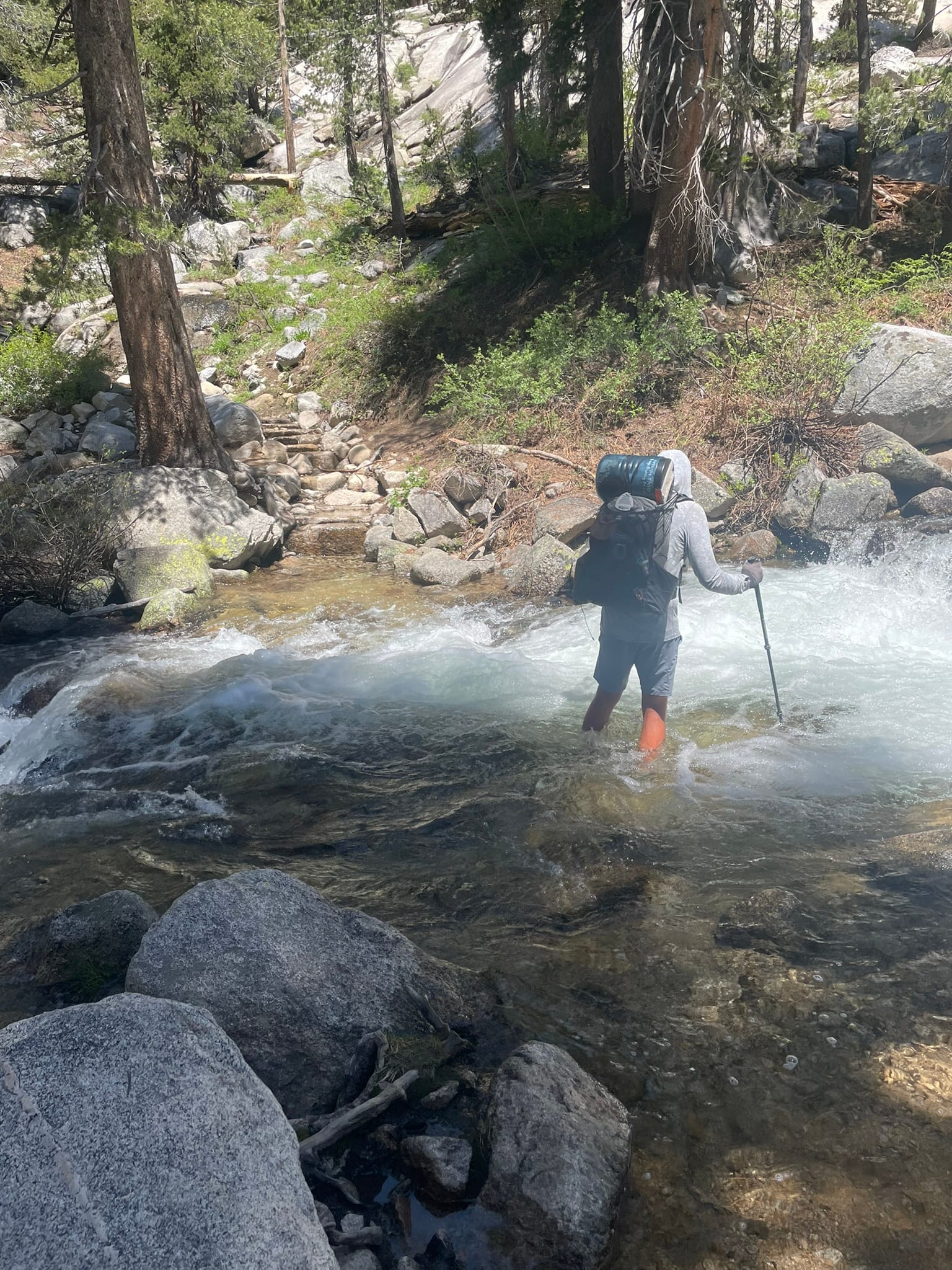 PCT Days 80 to 89 - Mosquito Hell