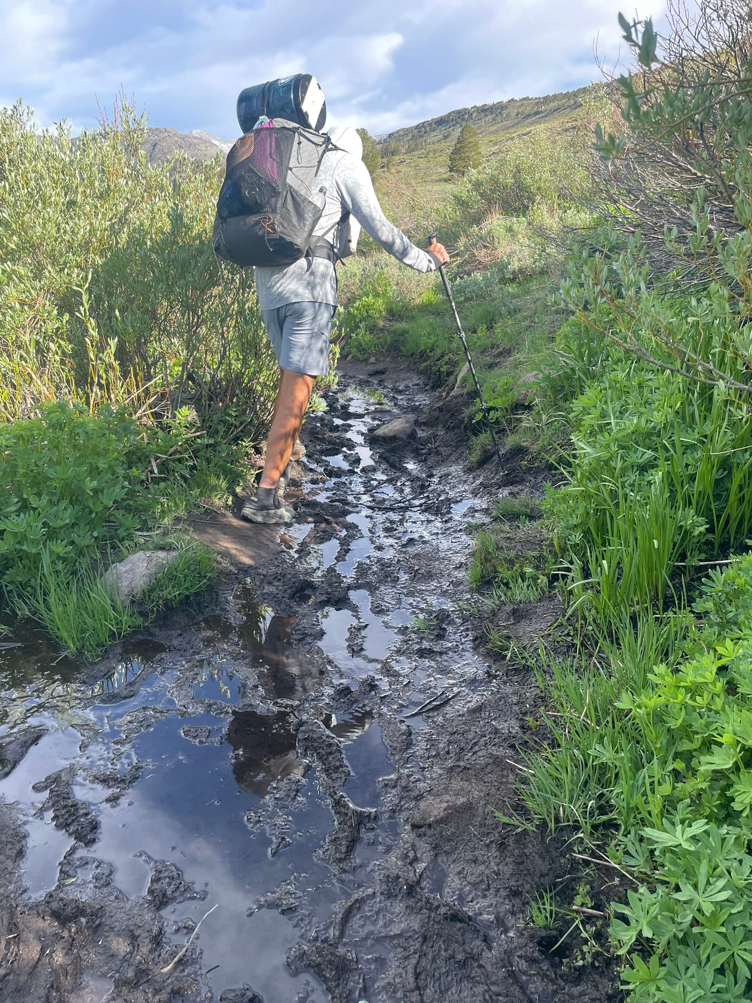 PCT Days 80 to 89 - Mosquito Hell