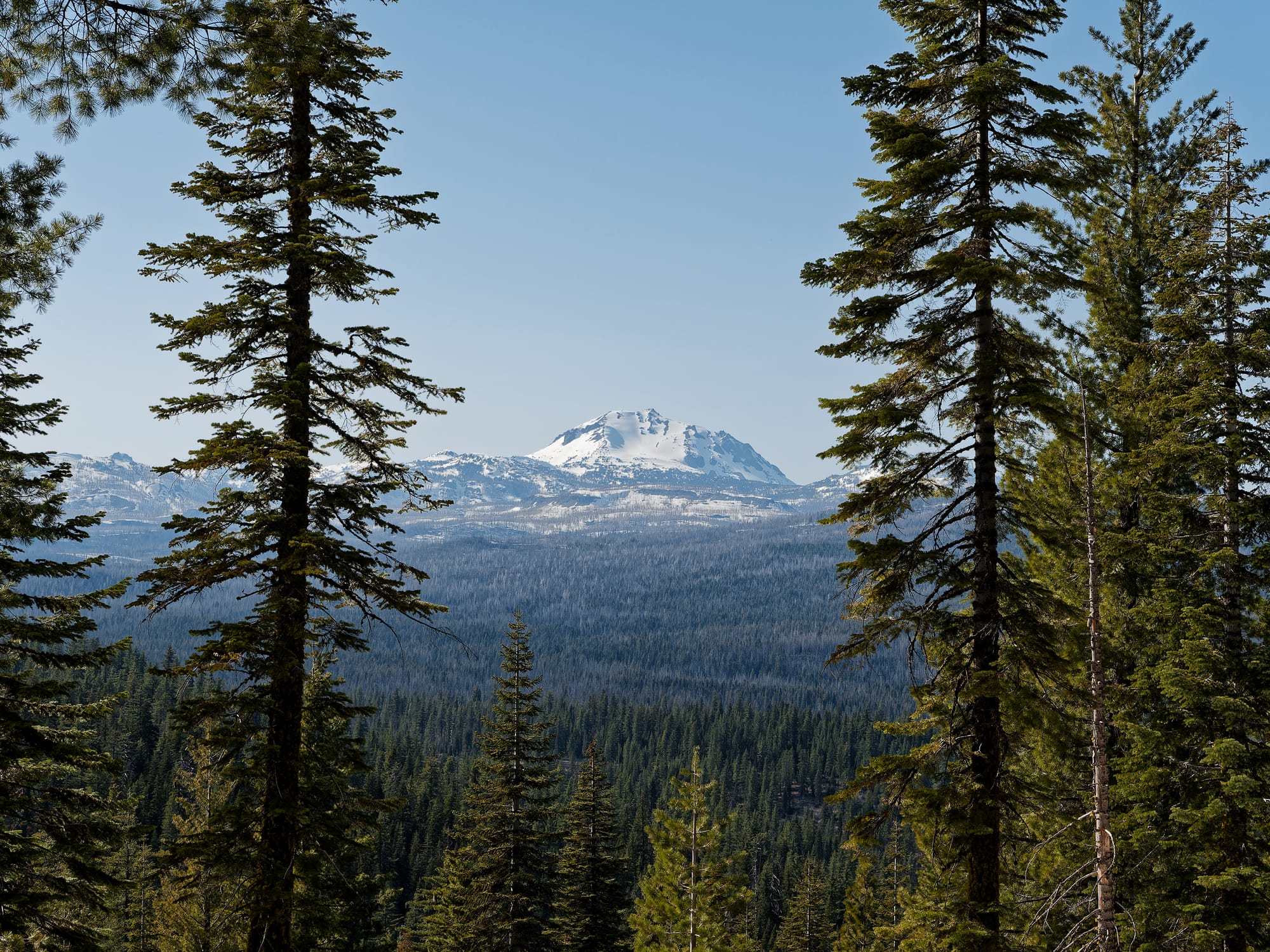 PCT Northern California