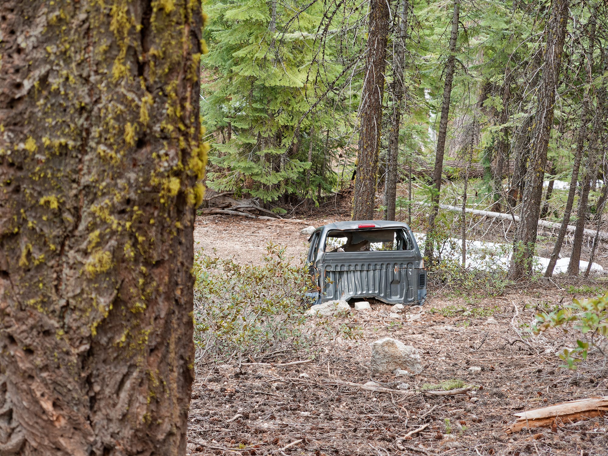 PCT Northern California