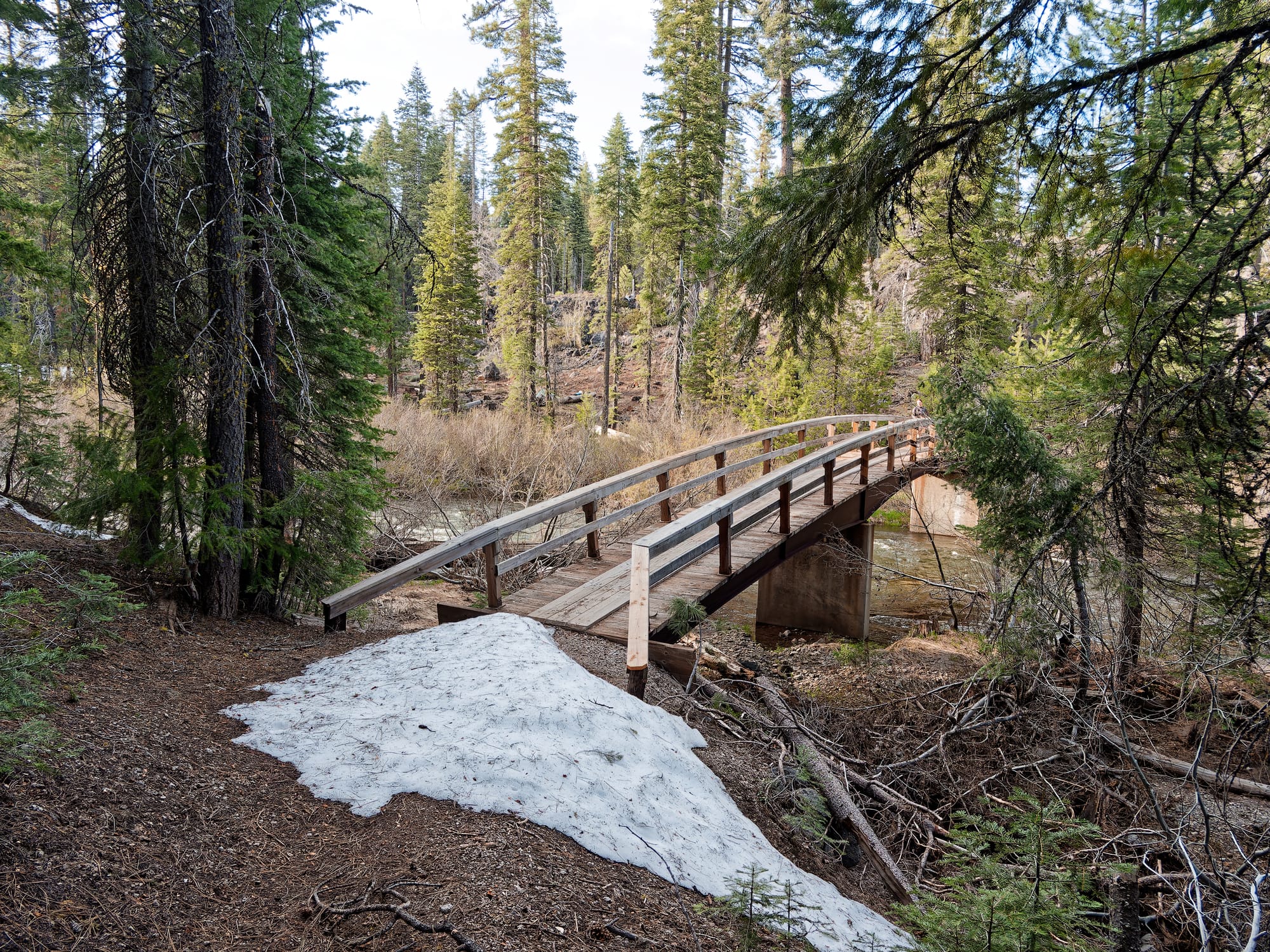 PCT Northern California