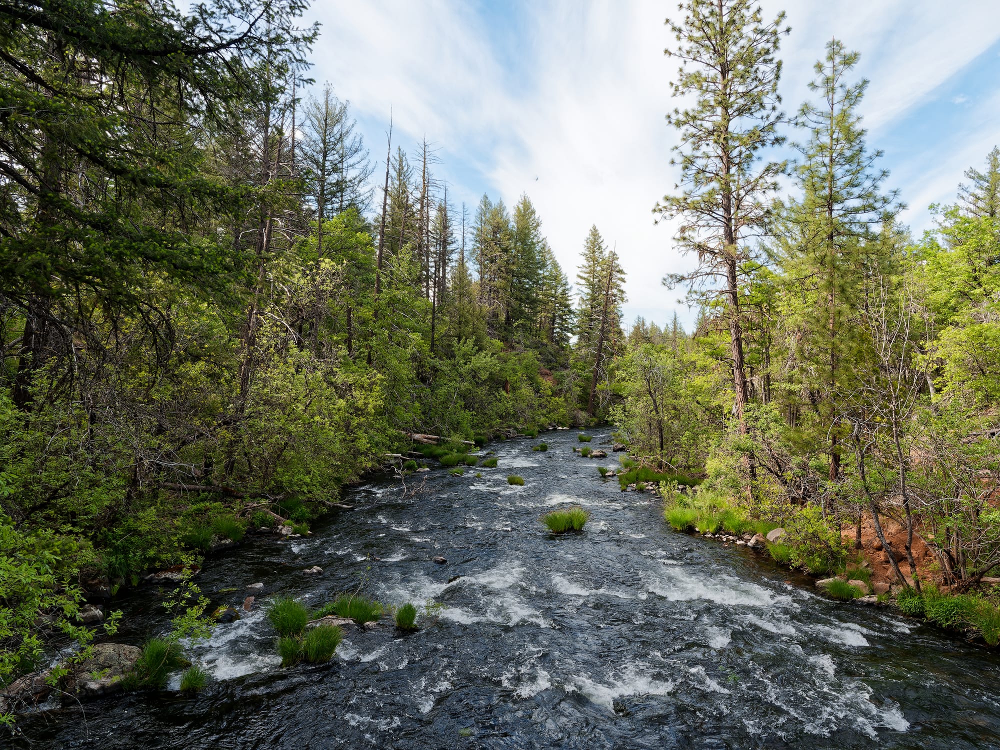 PCT Northern California