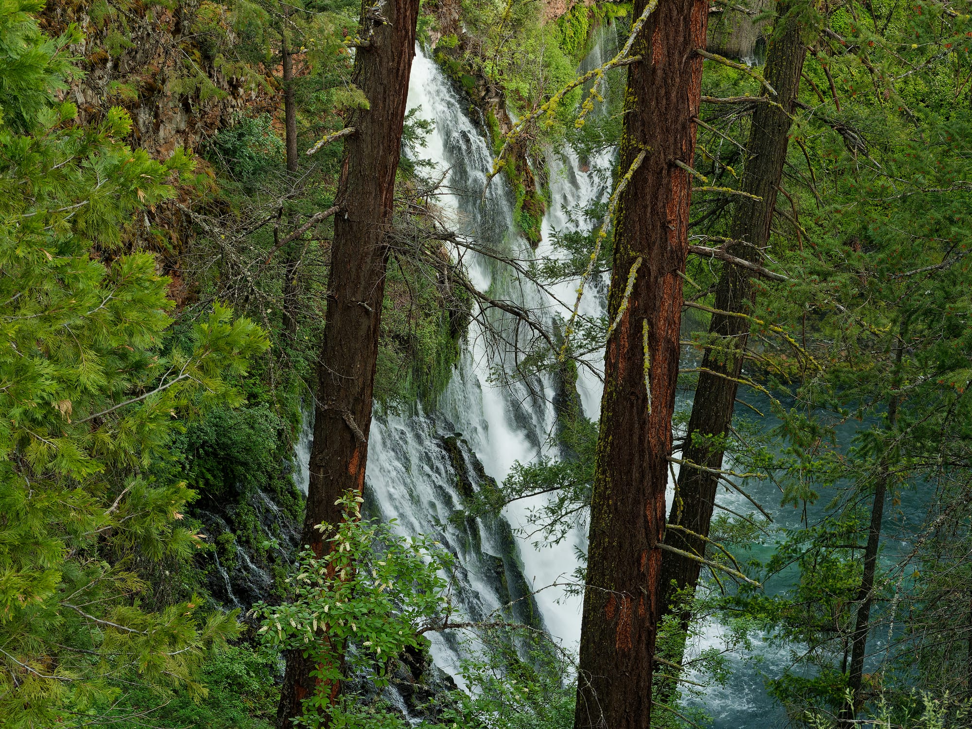 PCT Northern California