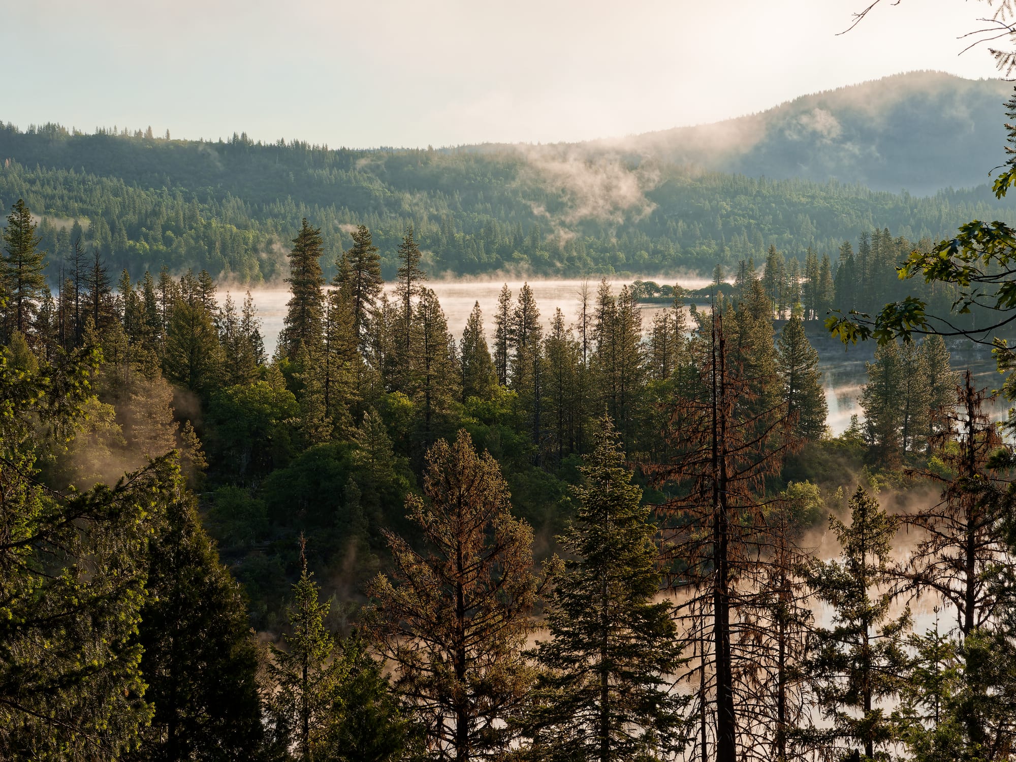 PCT Northern California