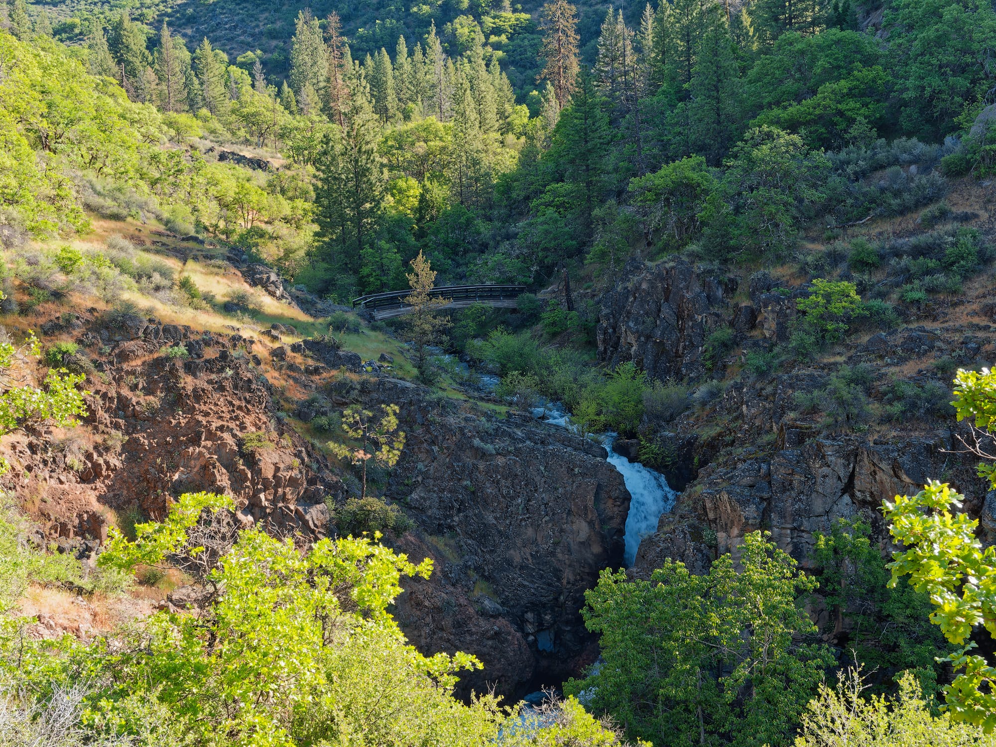 PCT Northern California
