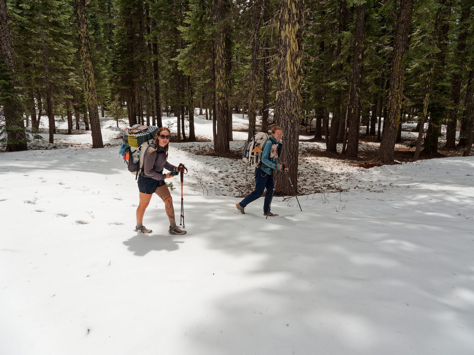 PCT Northern California