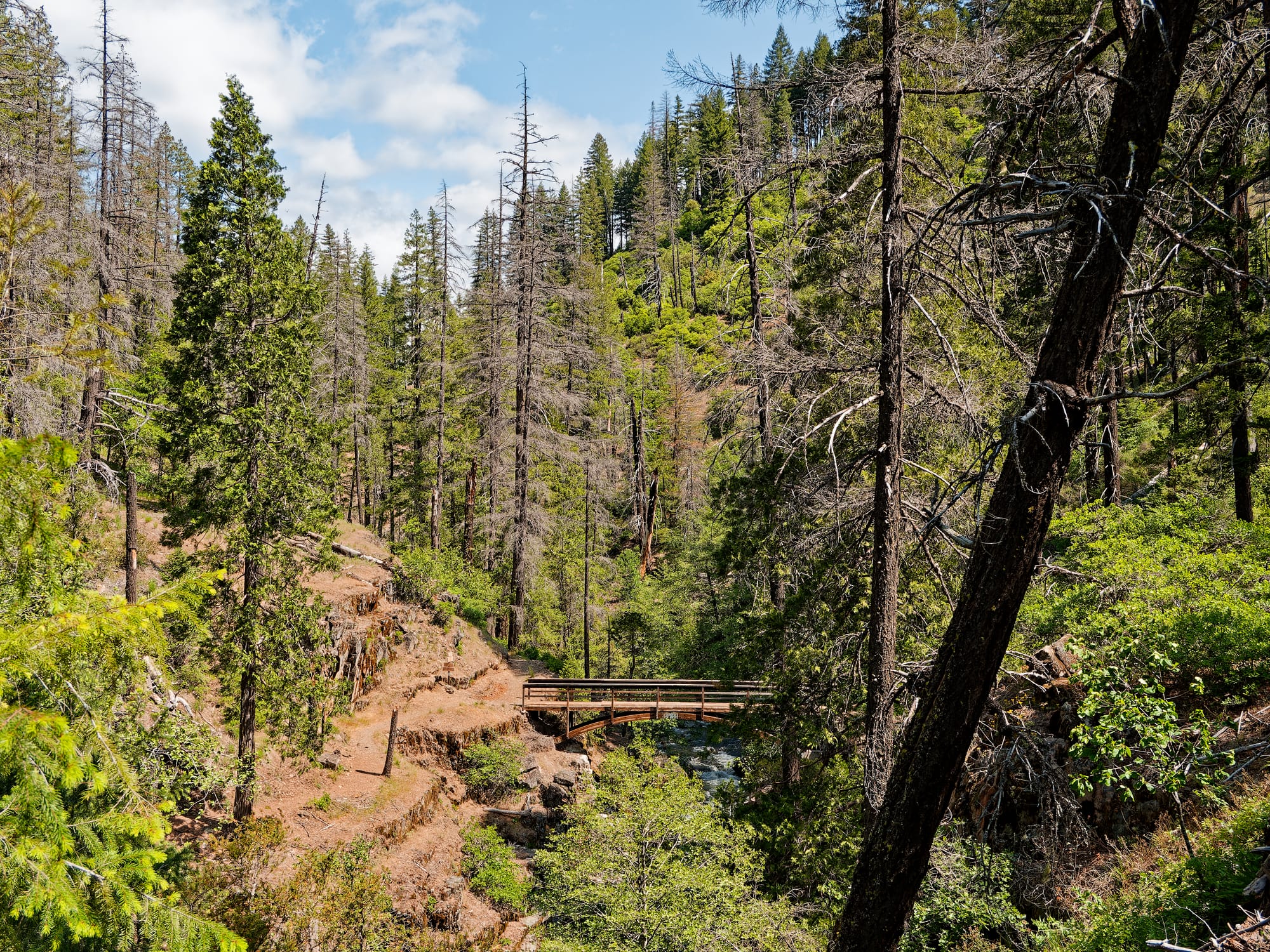 PCT Northern California