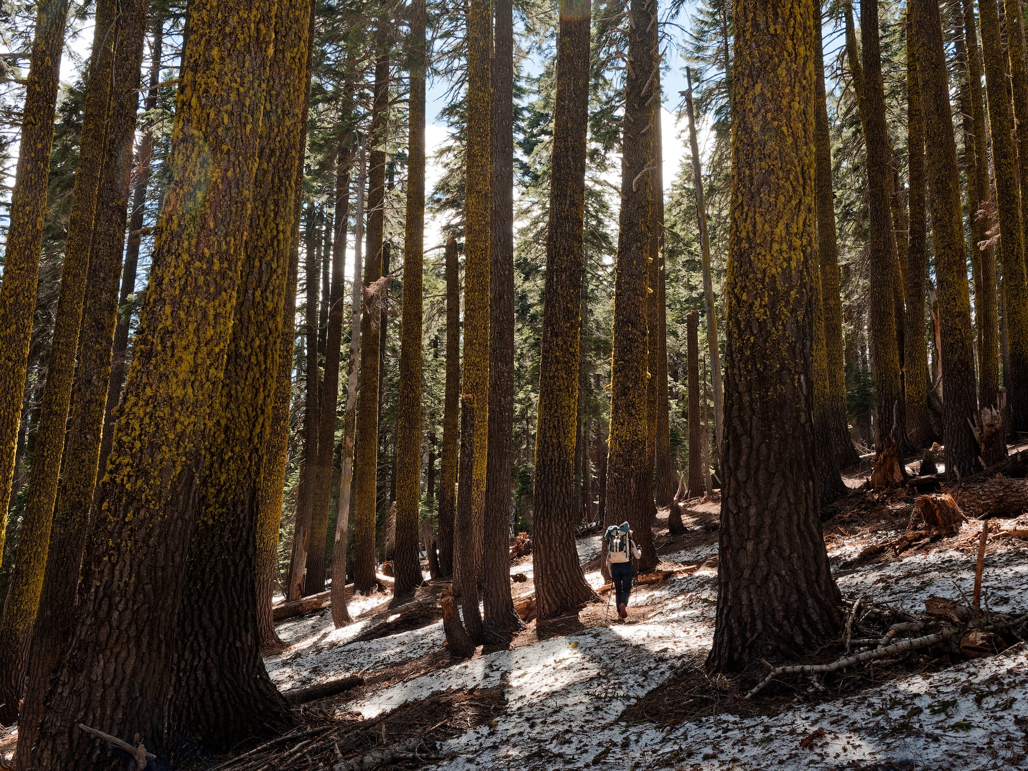 PCT Northern California