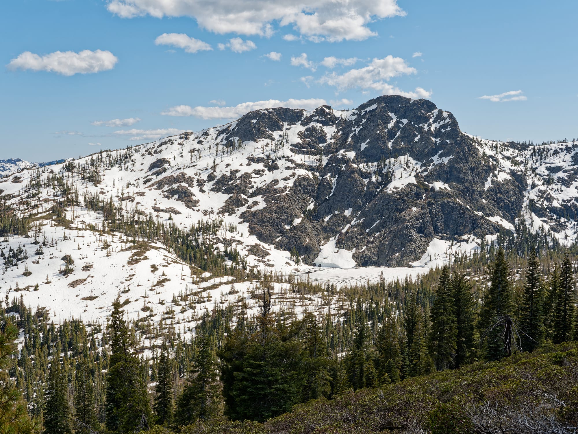 PCT Northern California