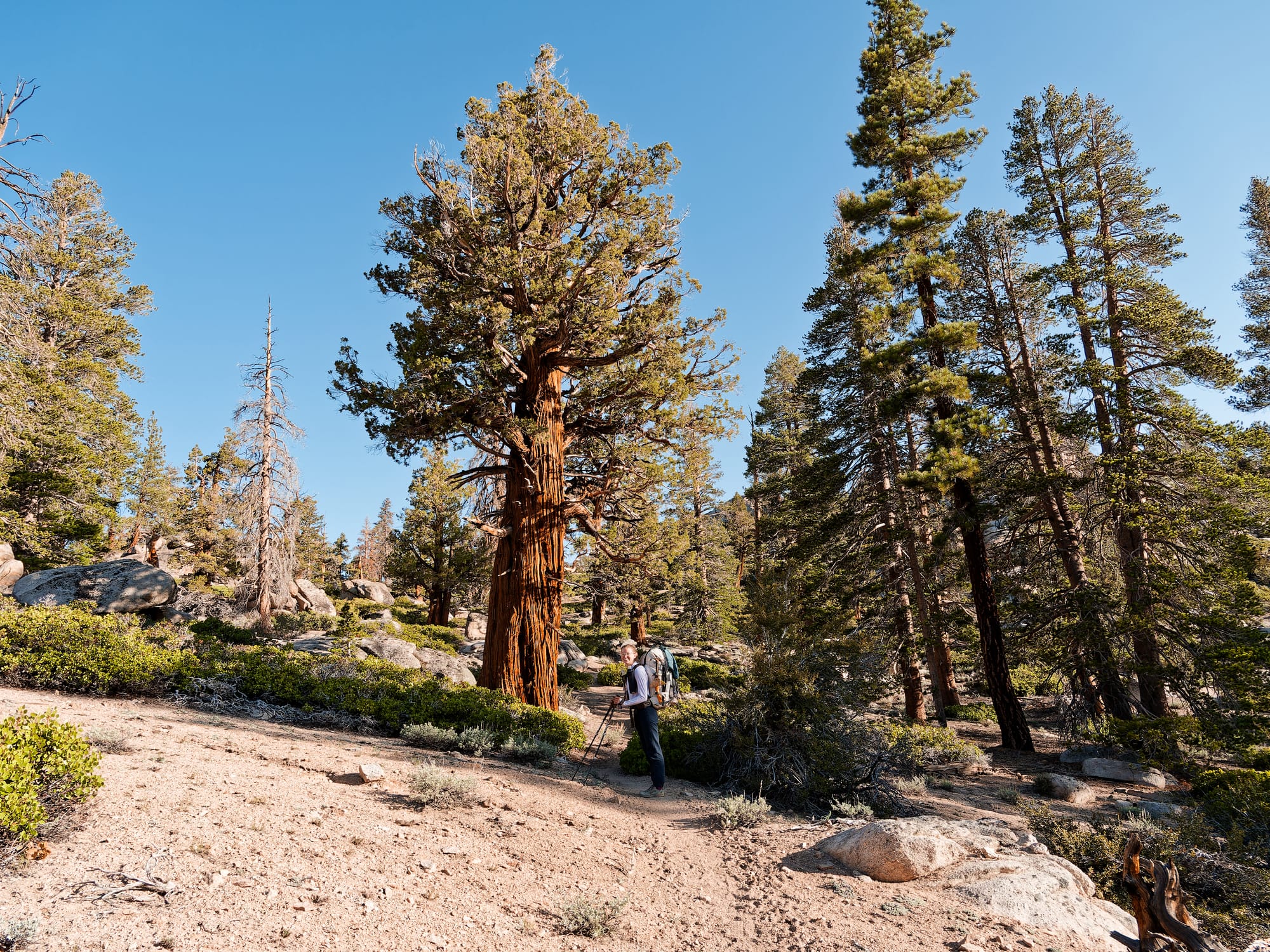 PCT The Sierra Nevada