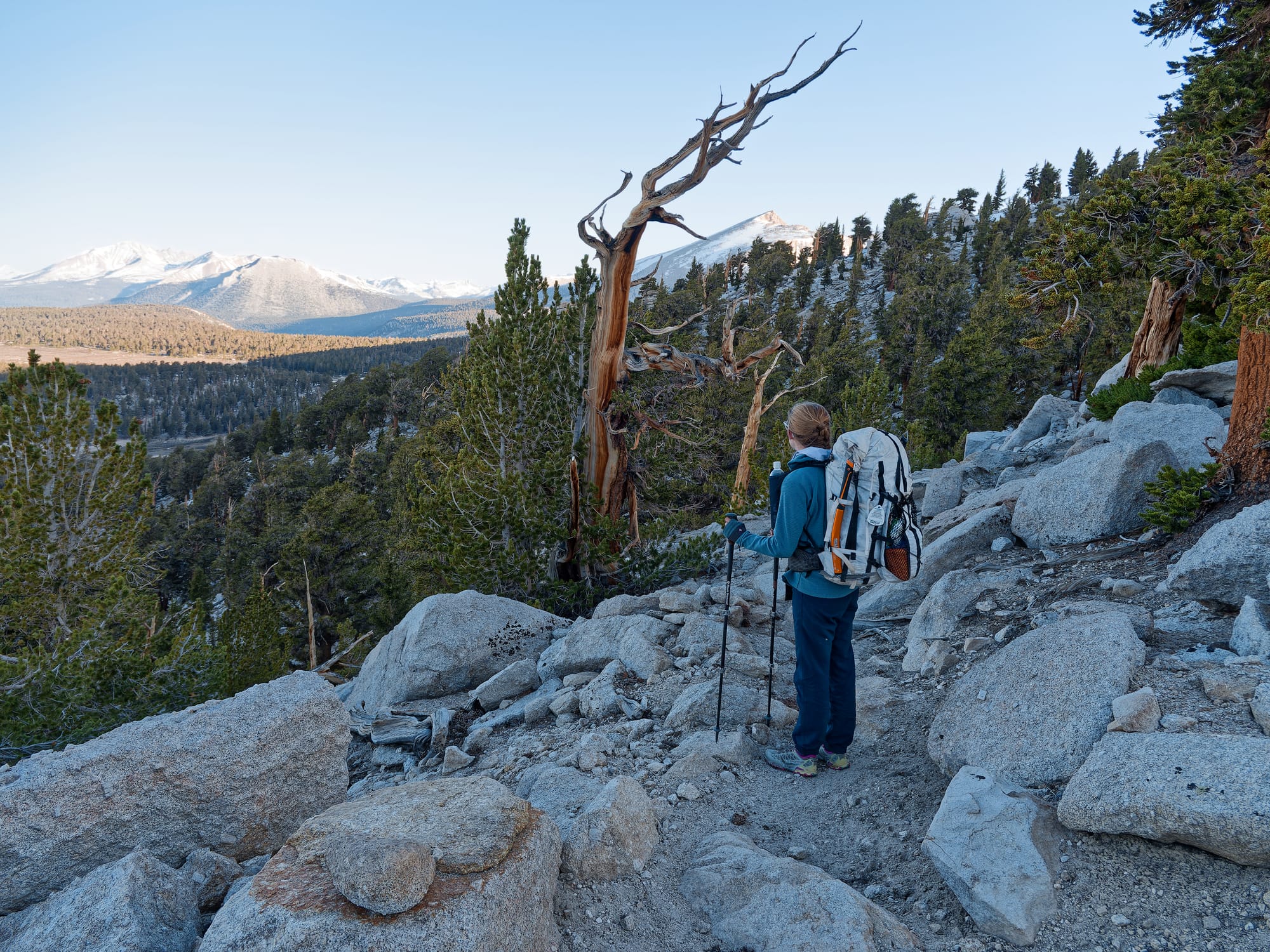 PCT The Sierra Nevada