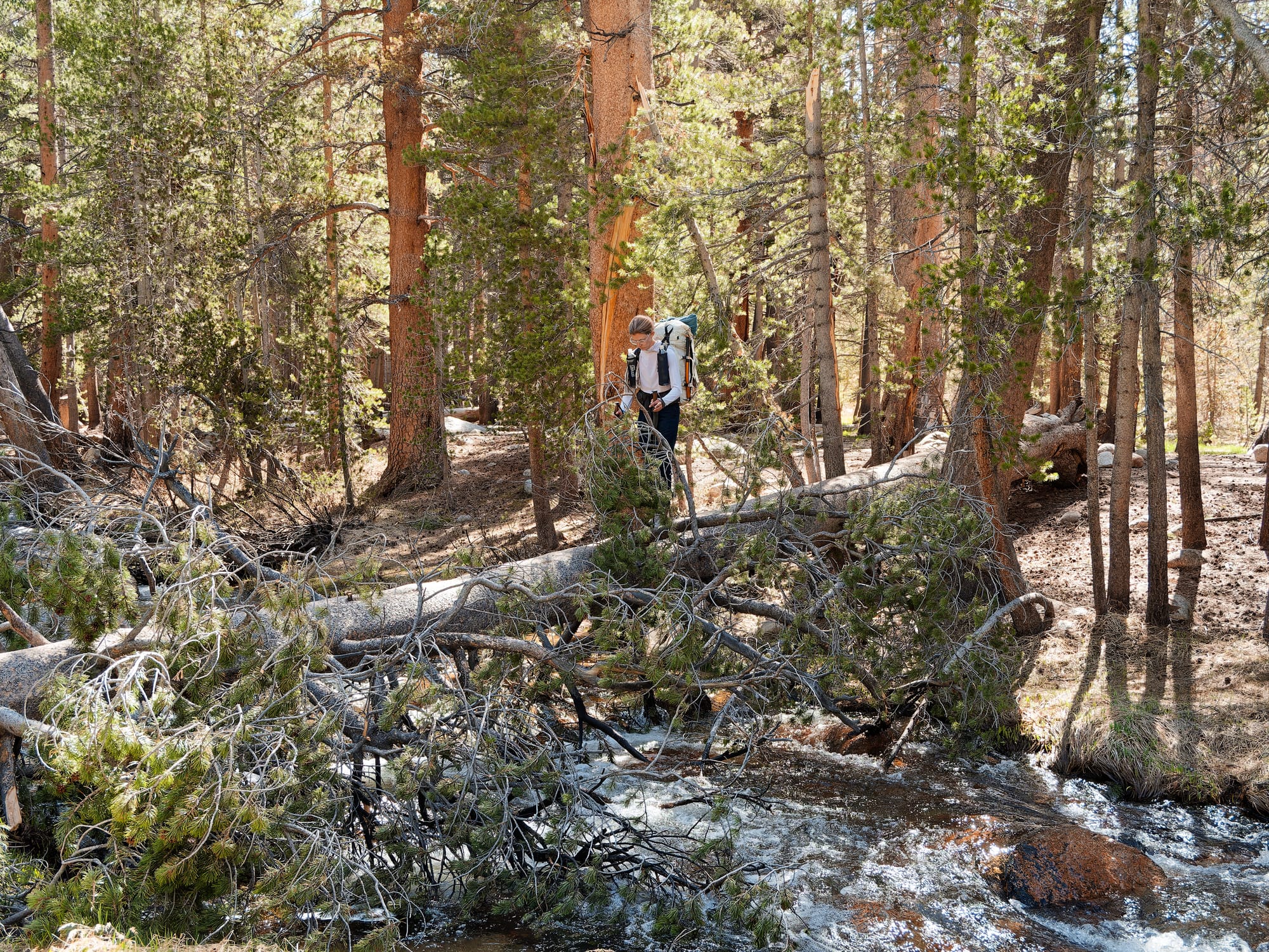 PCT The Sierra Nevada