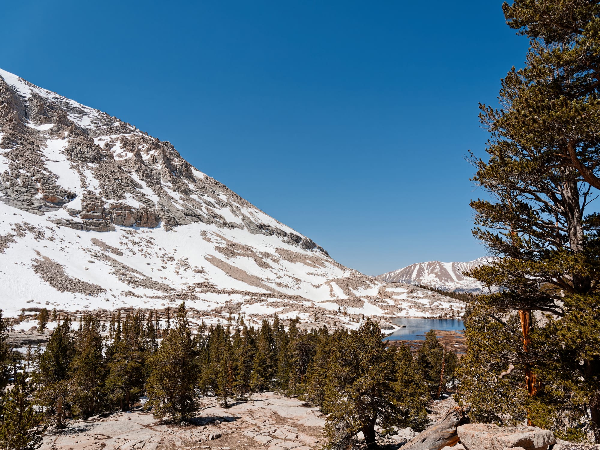 PCT The Sierra Nevada