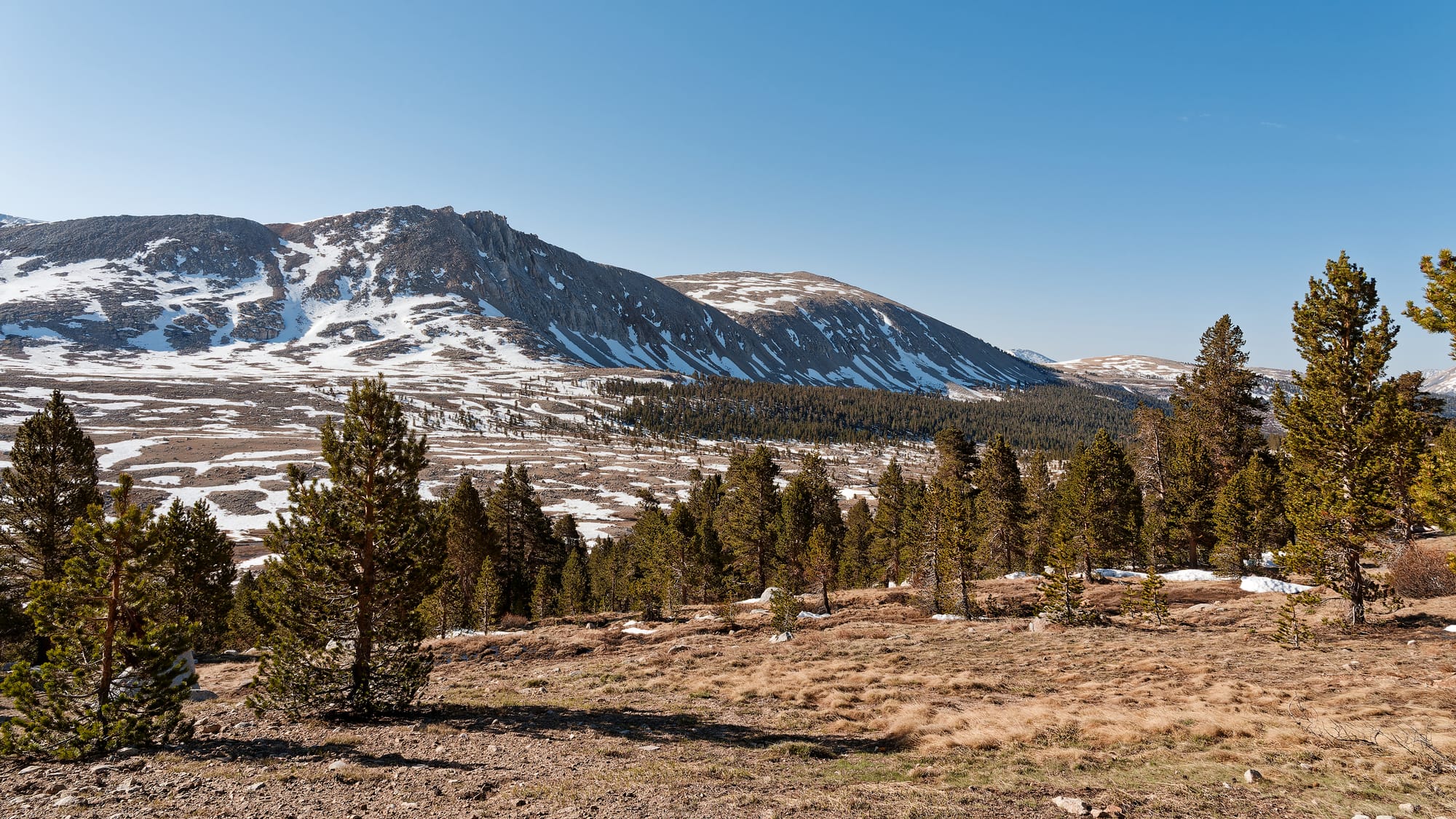 PCT The Sierra Nevada