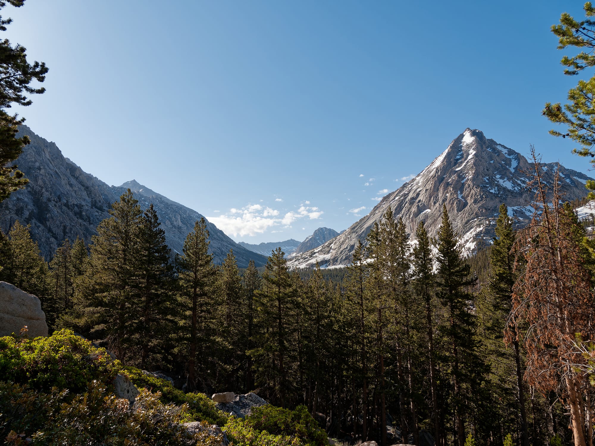 PCT The Sierra Nevada
