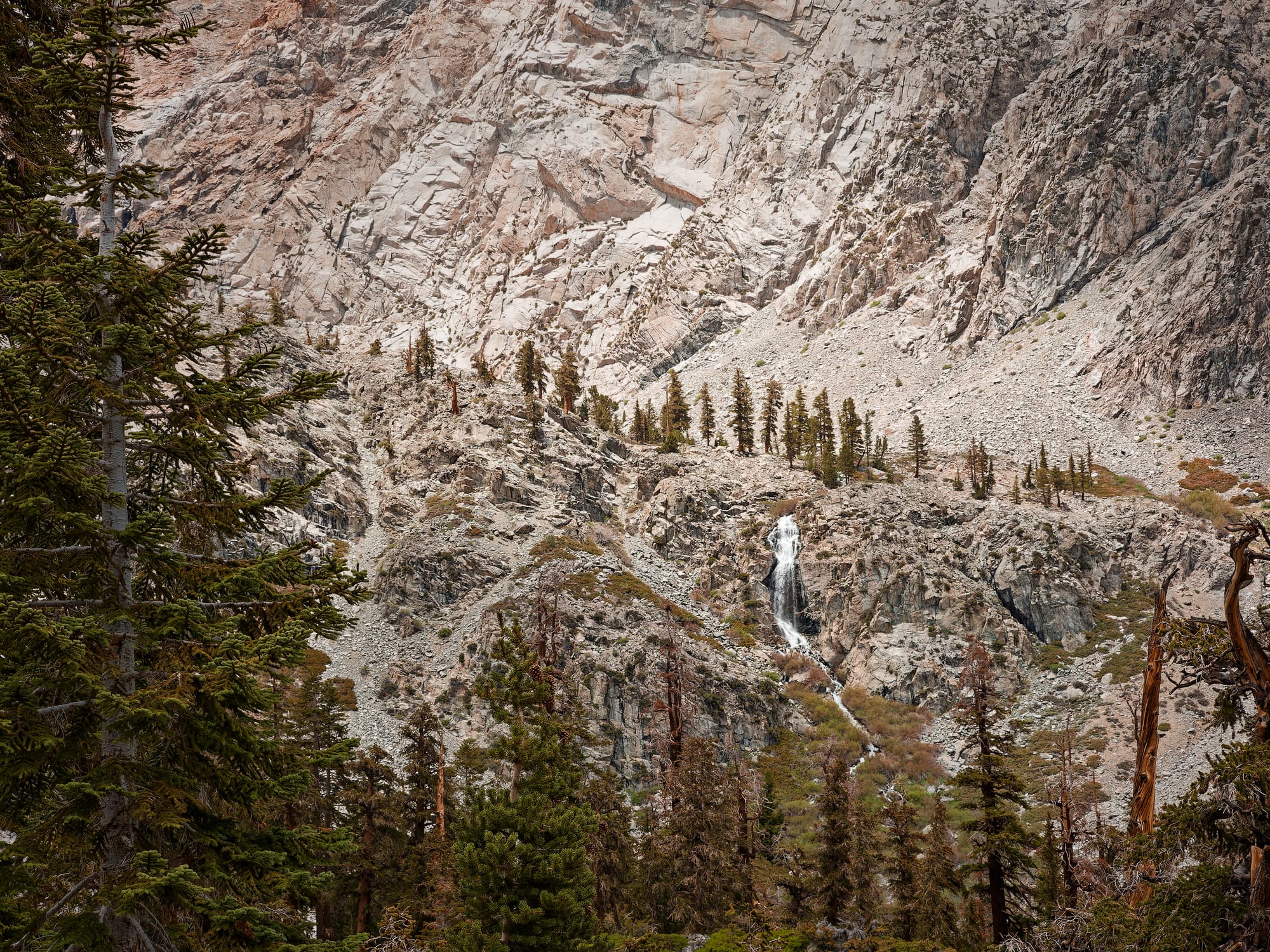 PCT The Sierra Nevada