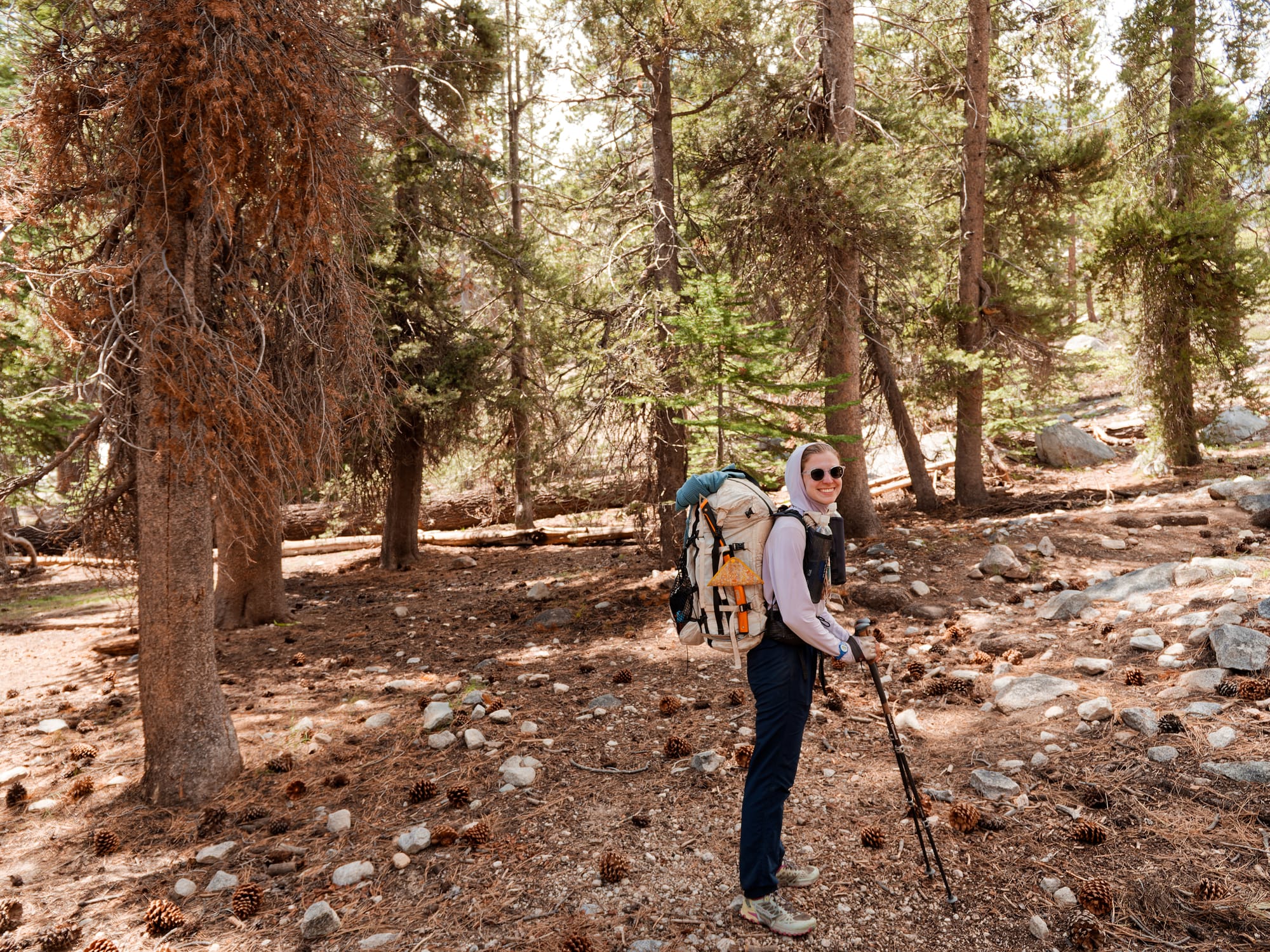 PCT The Sierra Nevada