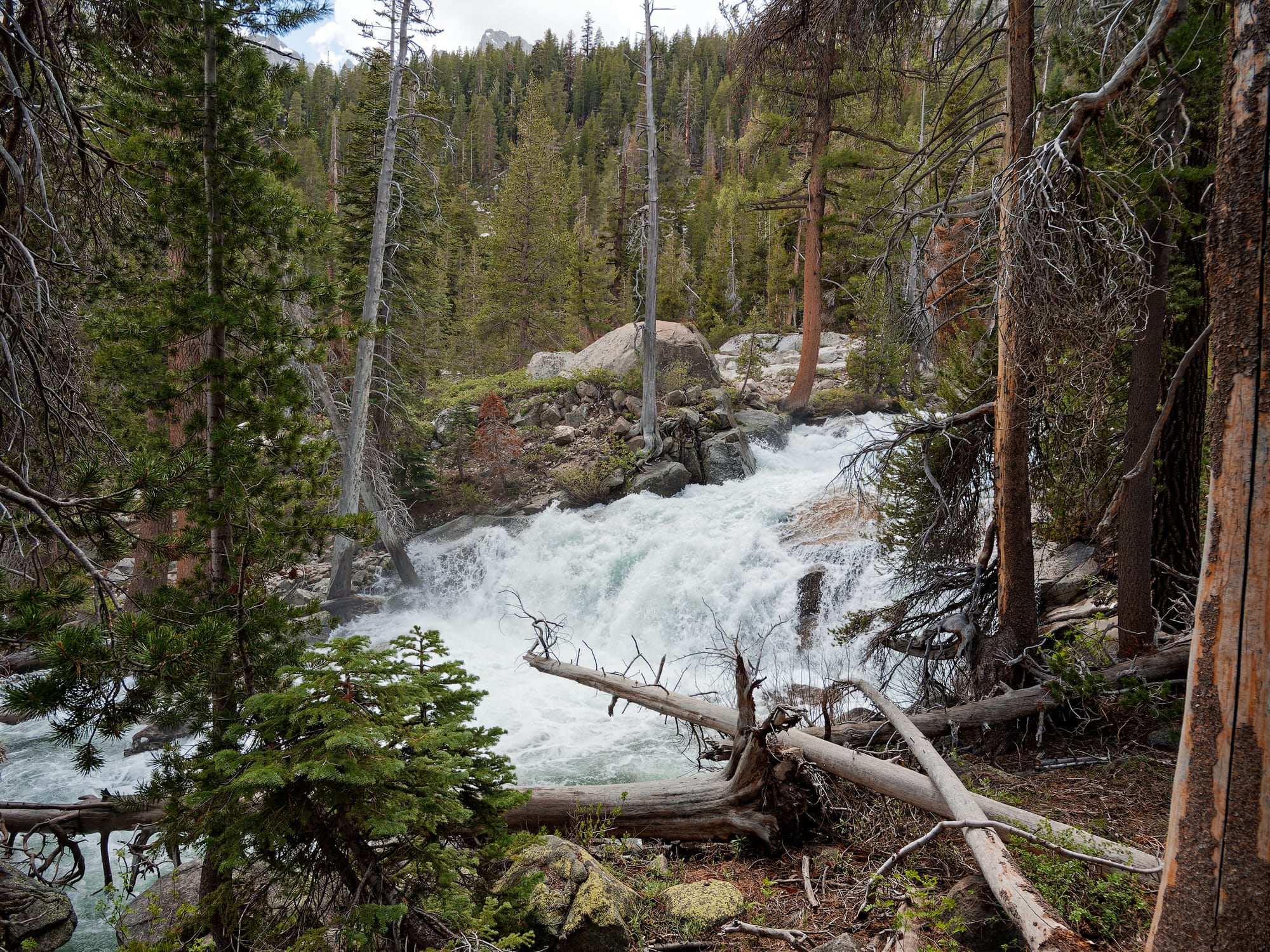 PCT The Sierra Nevada