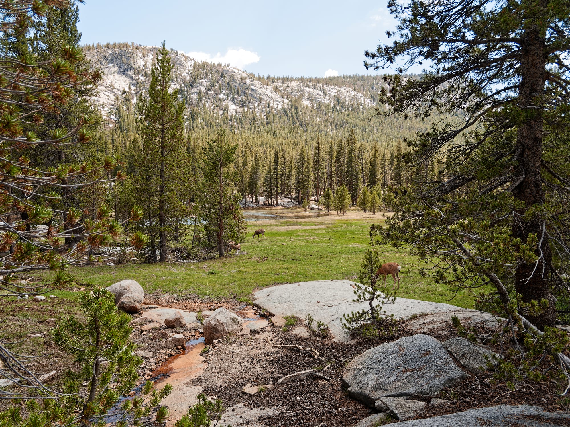 PCT The Sierra Nevada