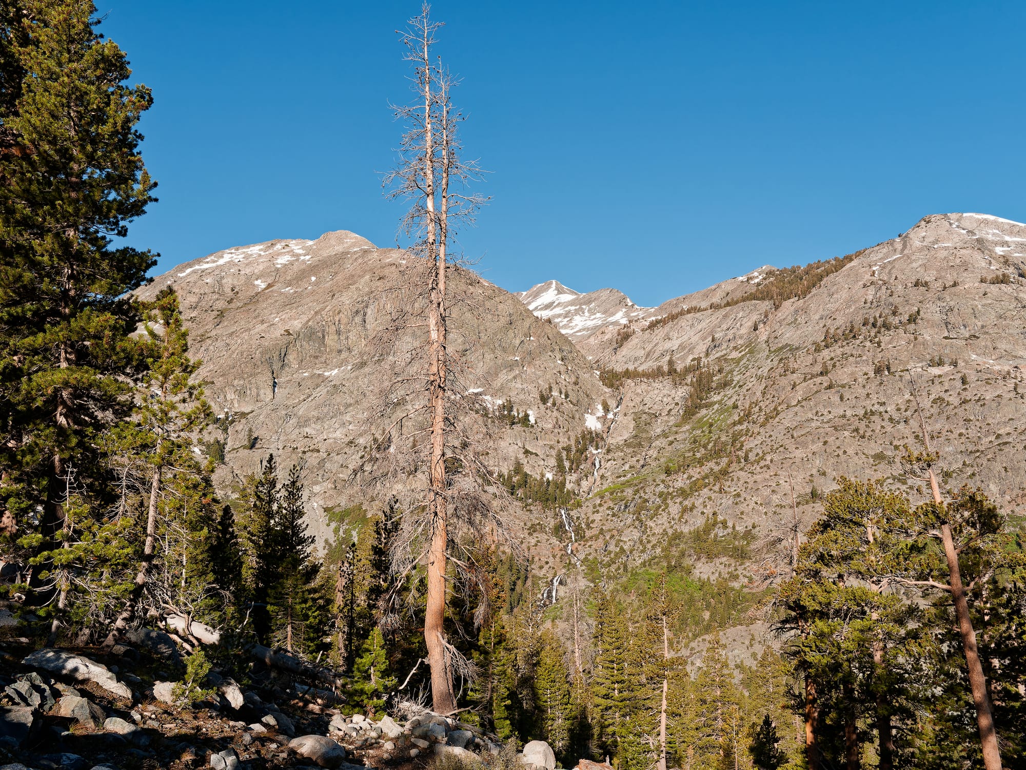 PCT The Sierra Nevada