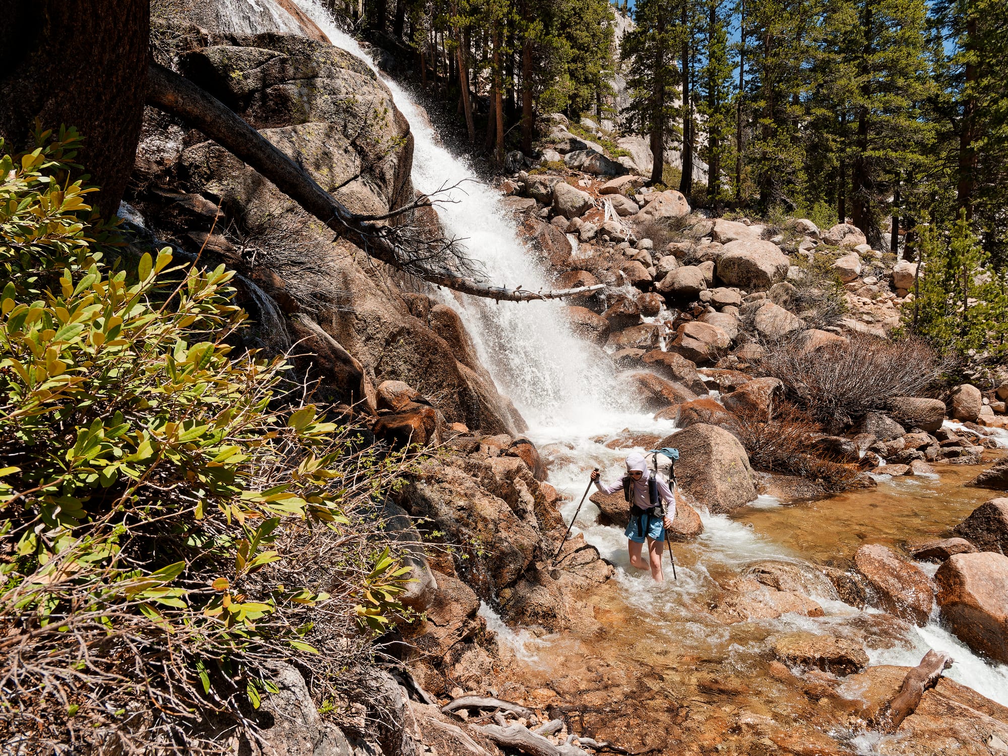 PCT The Sierra Nevada