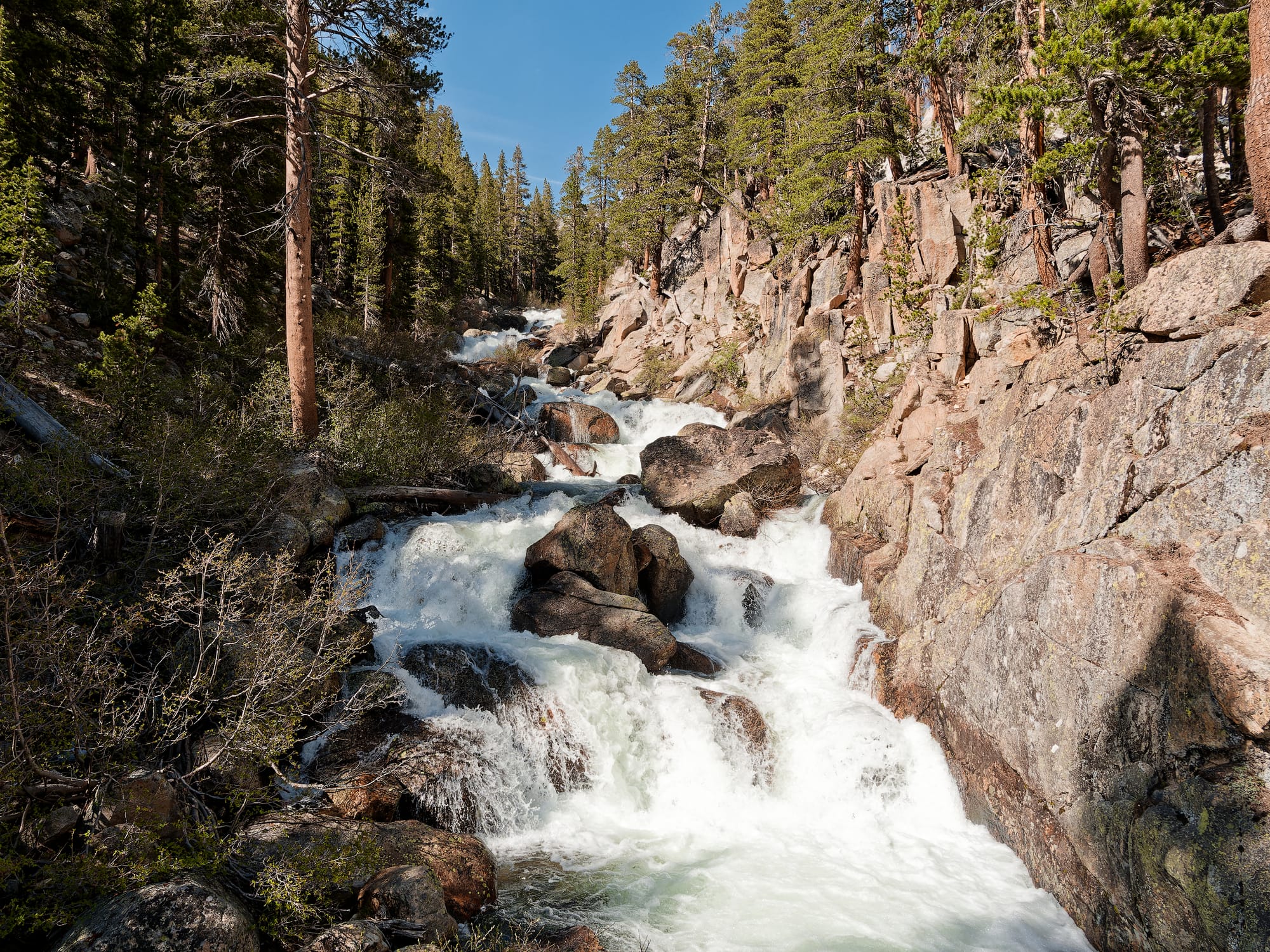 PCT The Sierra Nevada