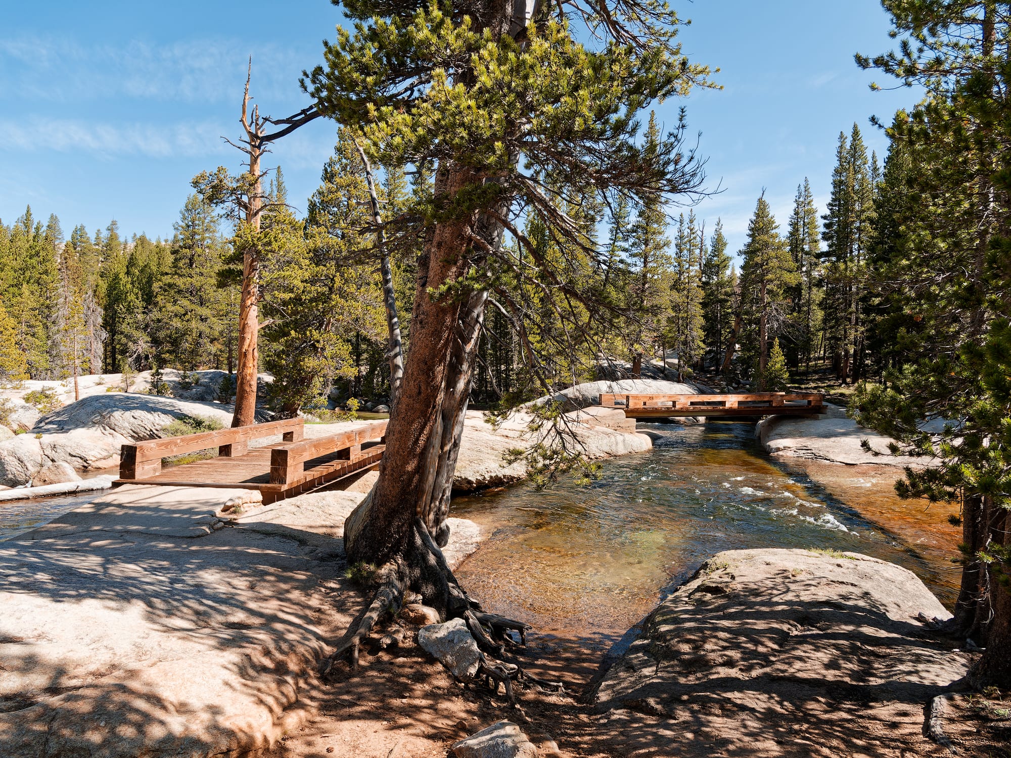 PCT The Sierra Nevada