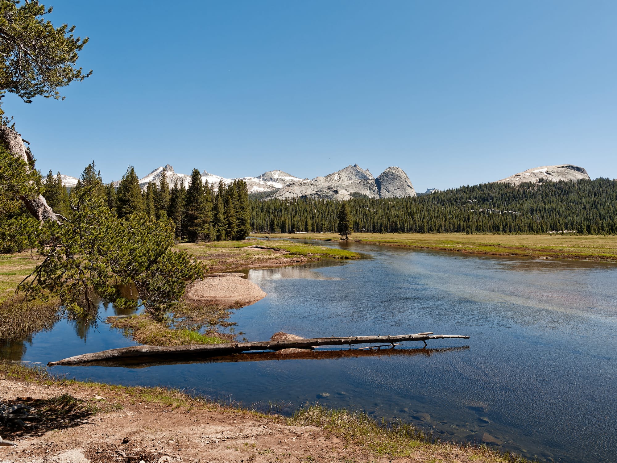 PCT The Sierra Nevada