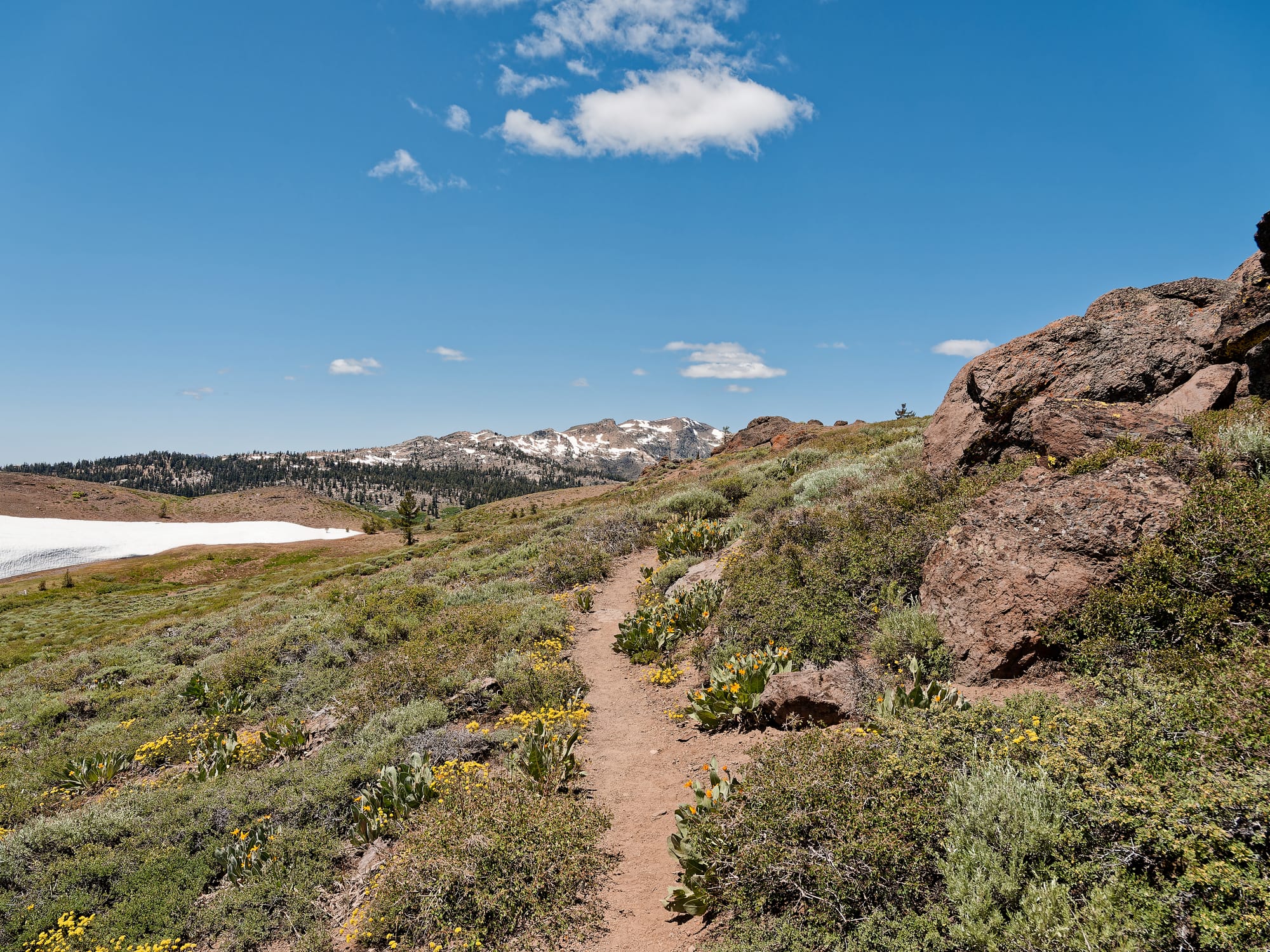 PCT The Sierra Nevada