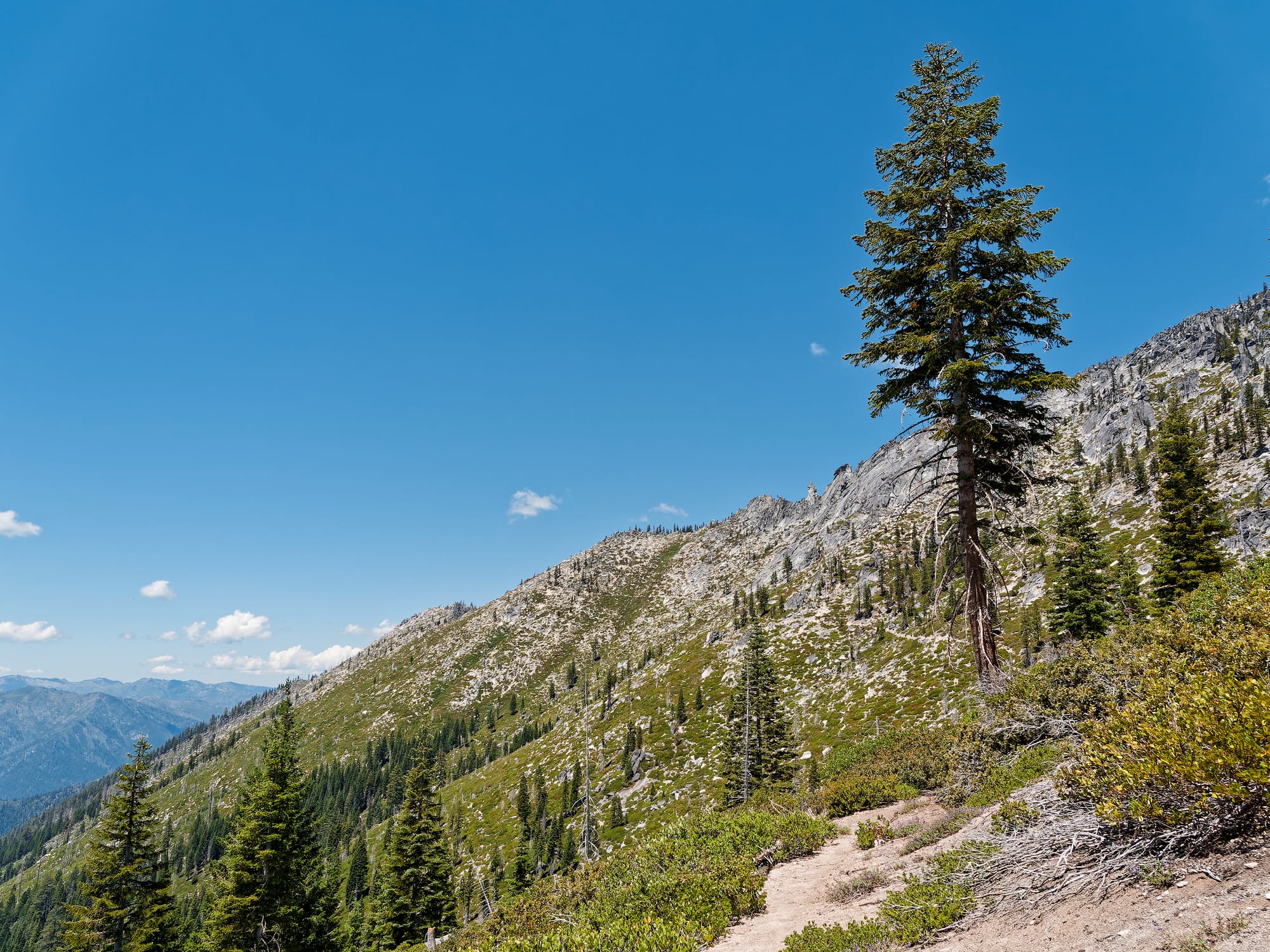 PCT Northern California