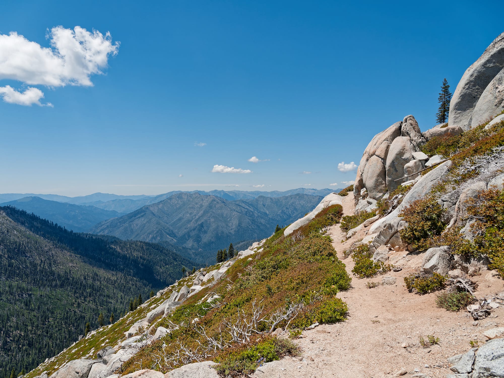 PCT Northern California