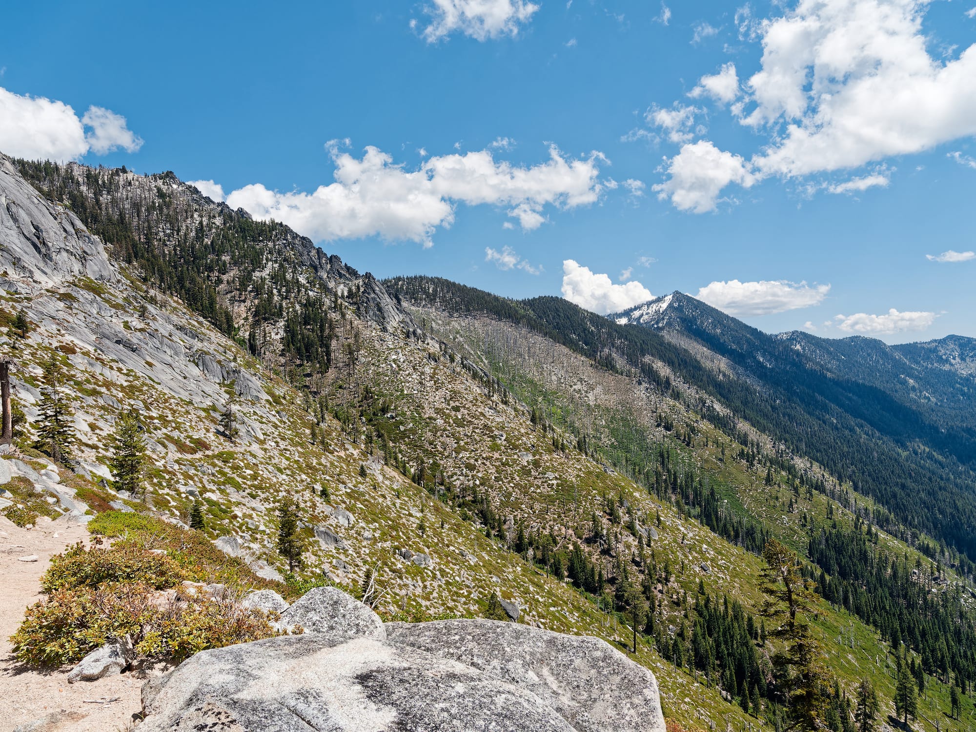 PCT Northern California