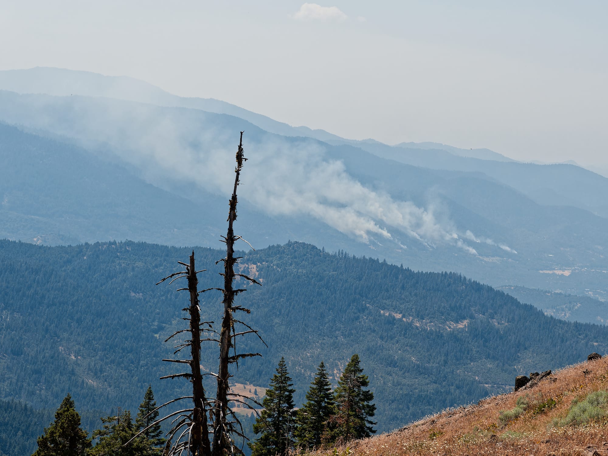 PCT Oregon