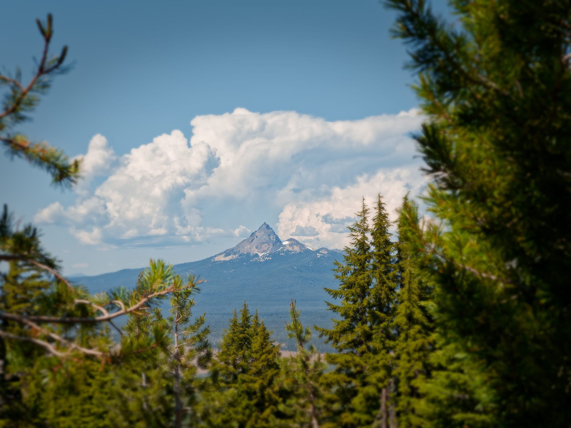 PCT Oregon