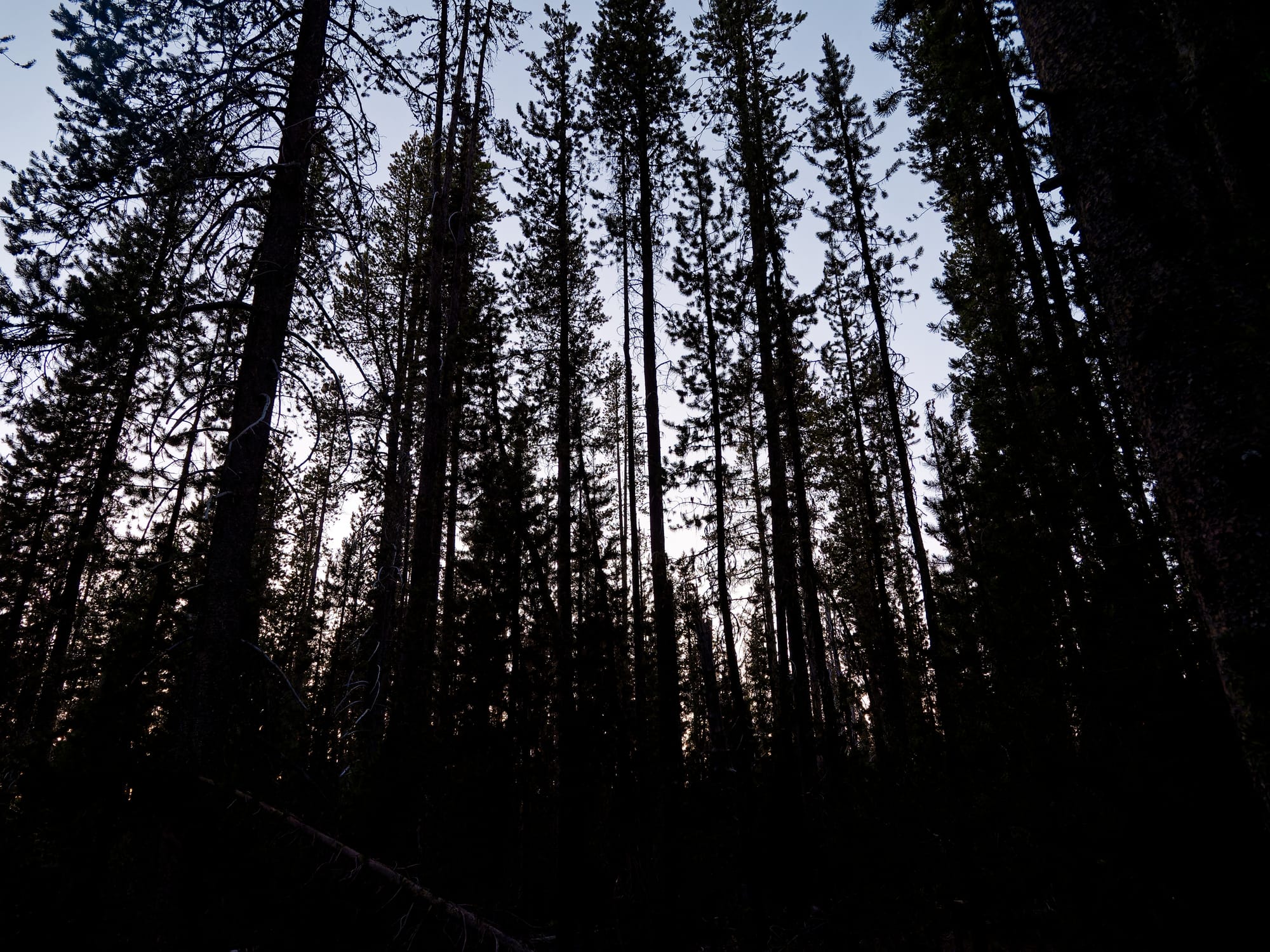 PCT Oregon
