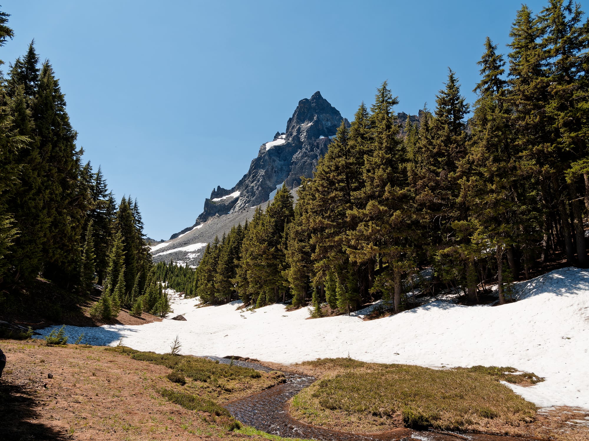 PCT Oregon