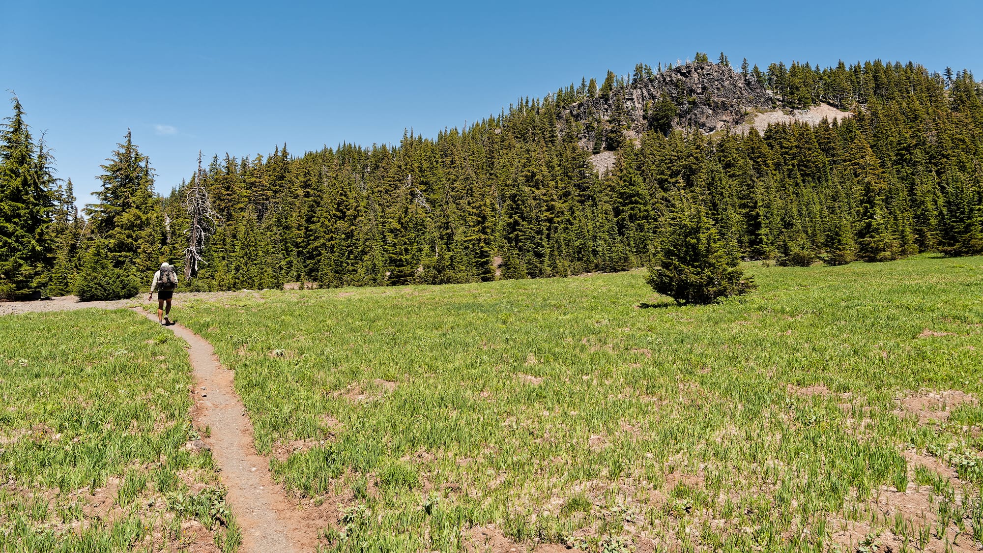 PCT Oregon