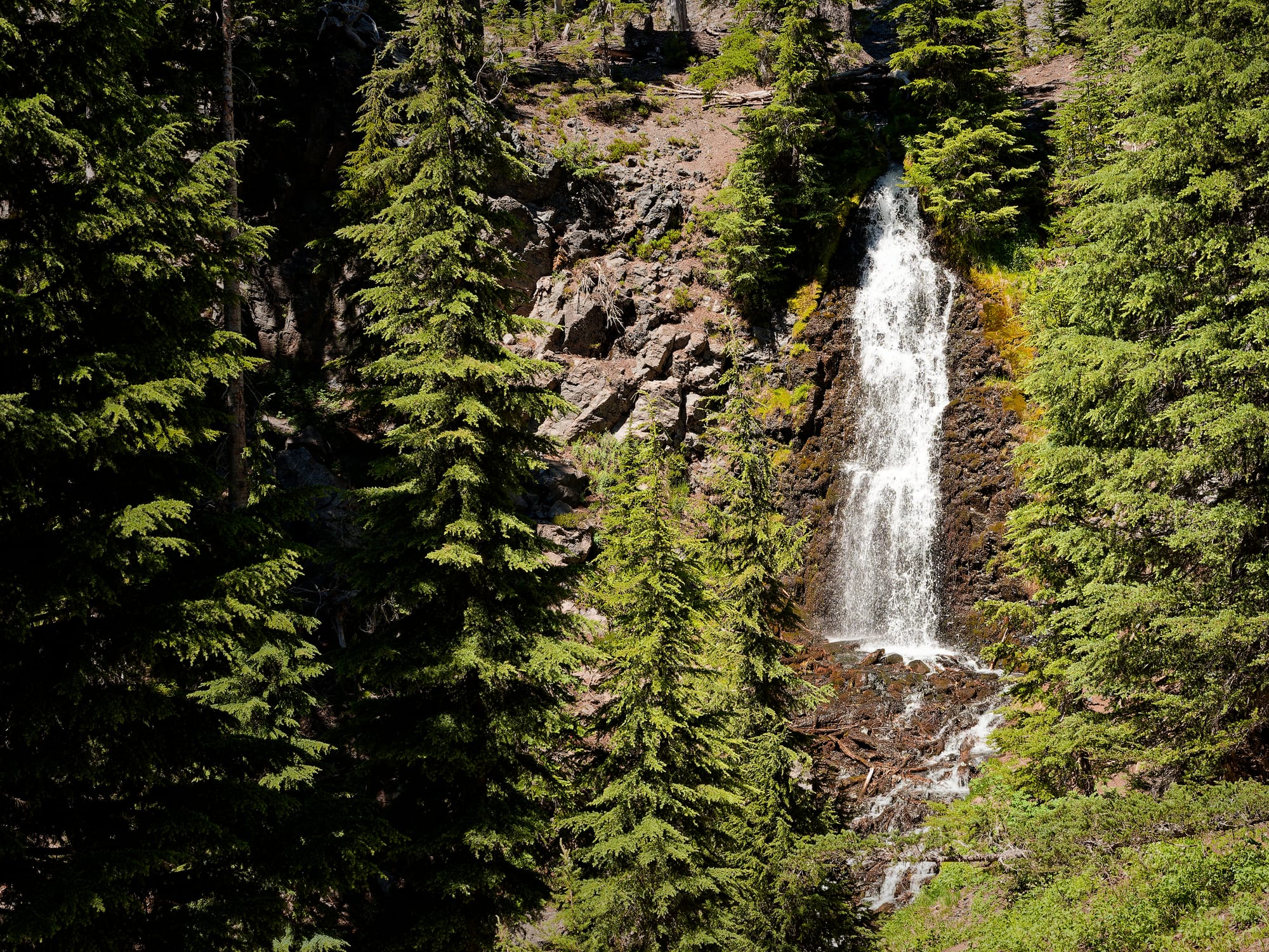PCT Oregon