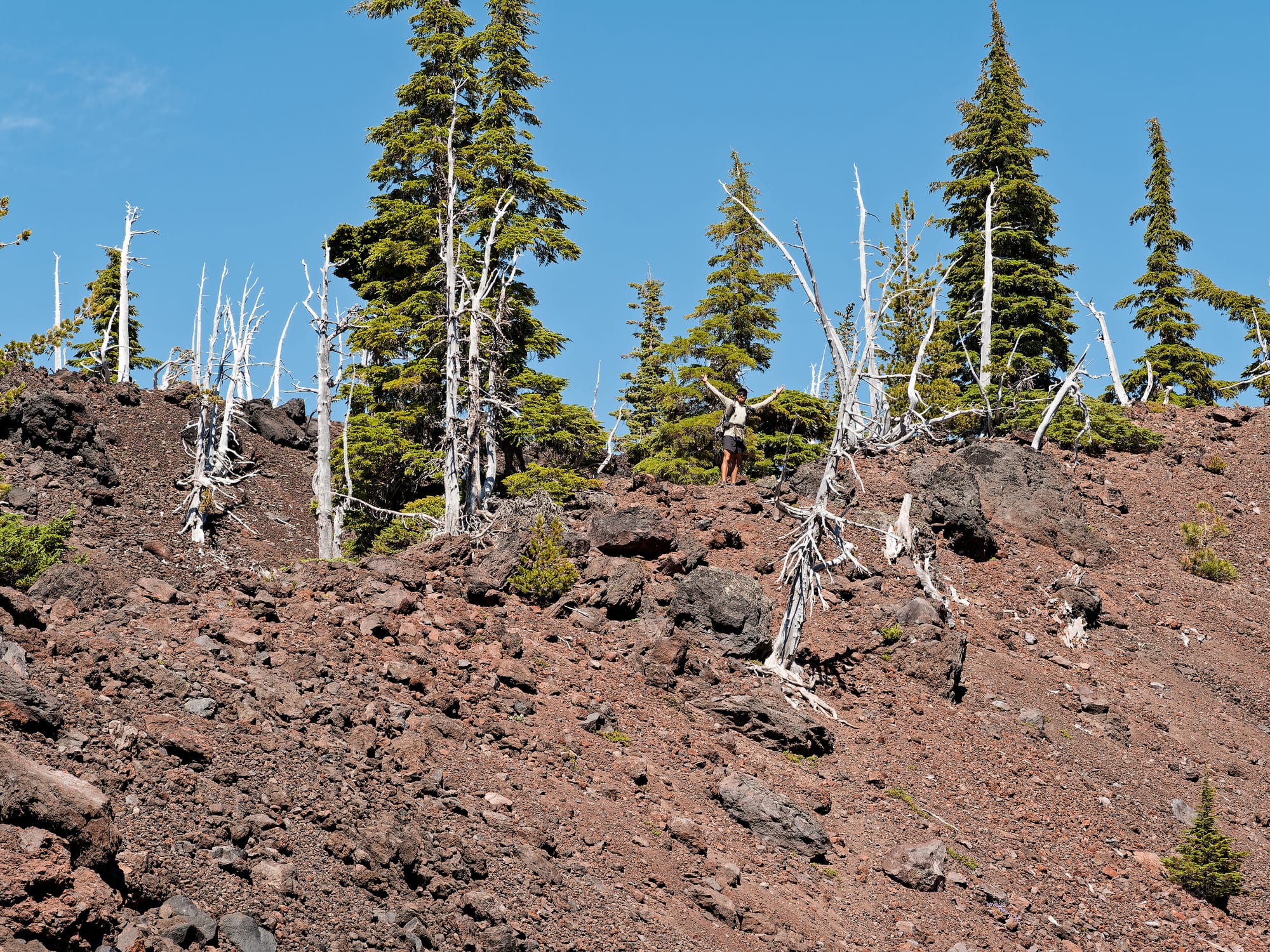 PCT Oregon