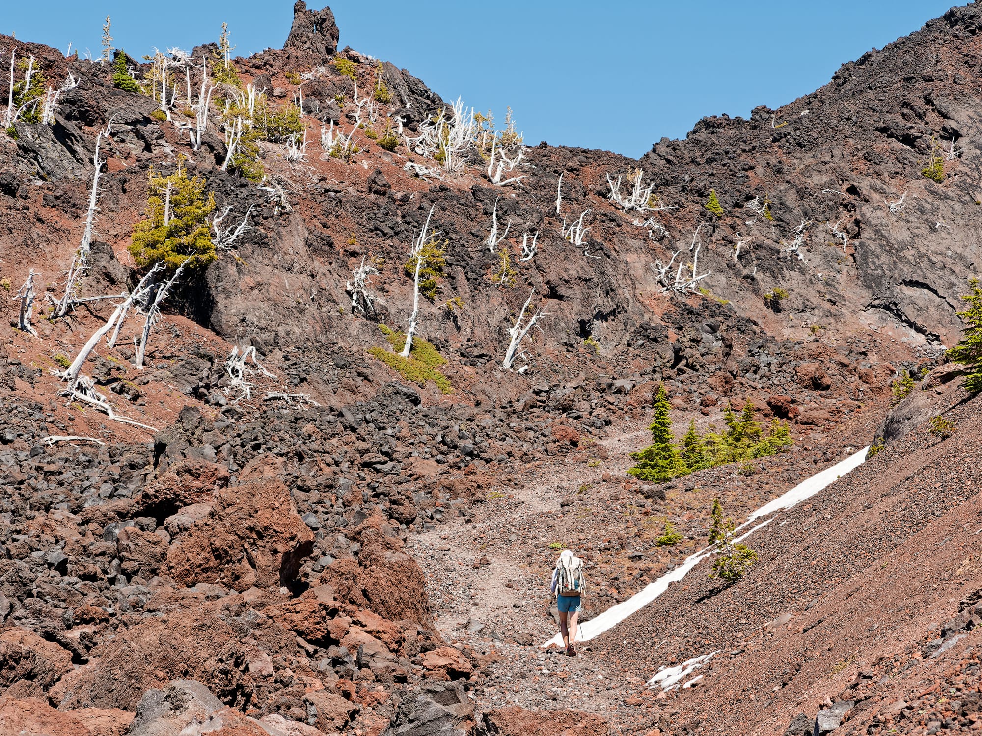 PCT Oregon