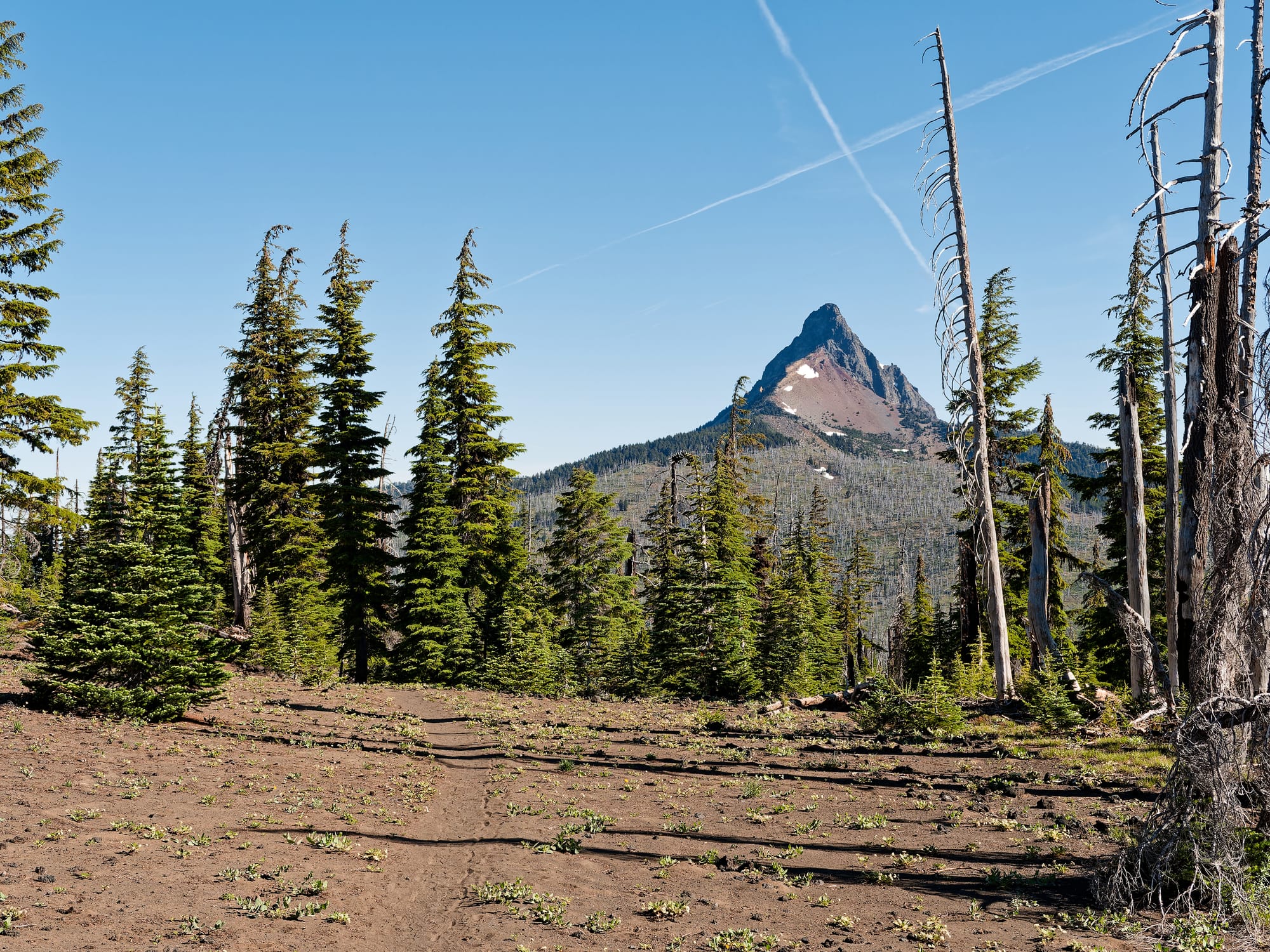 PCT Oregon