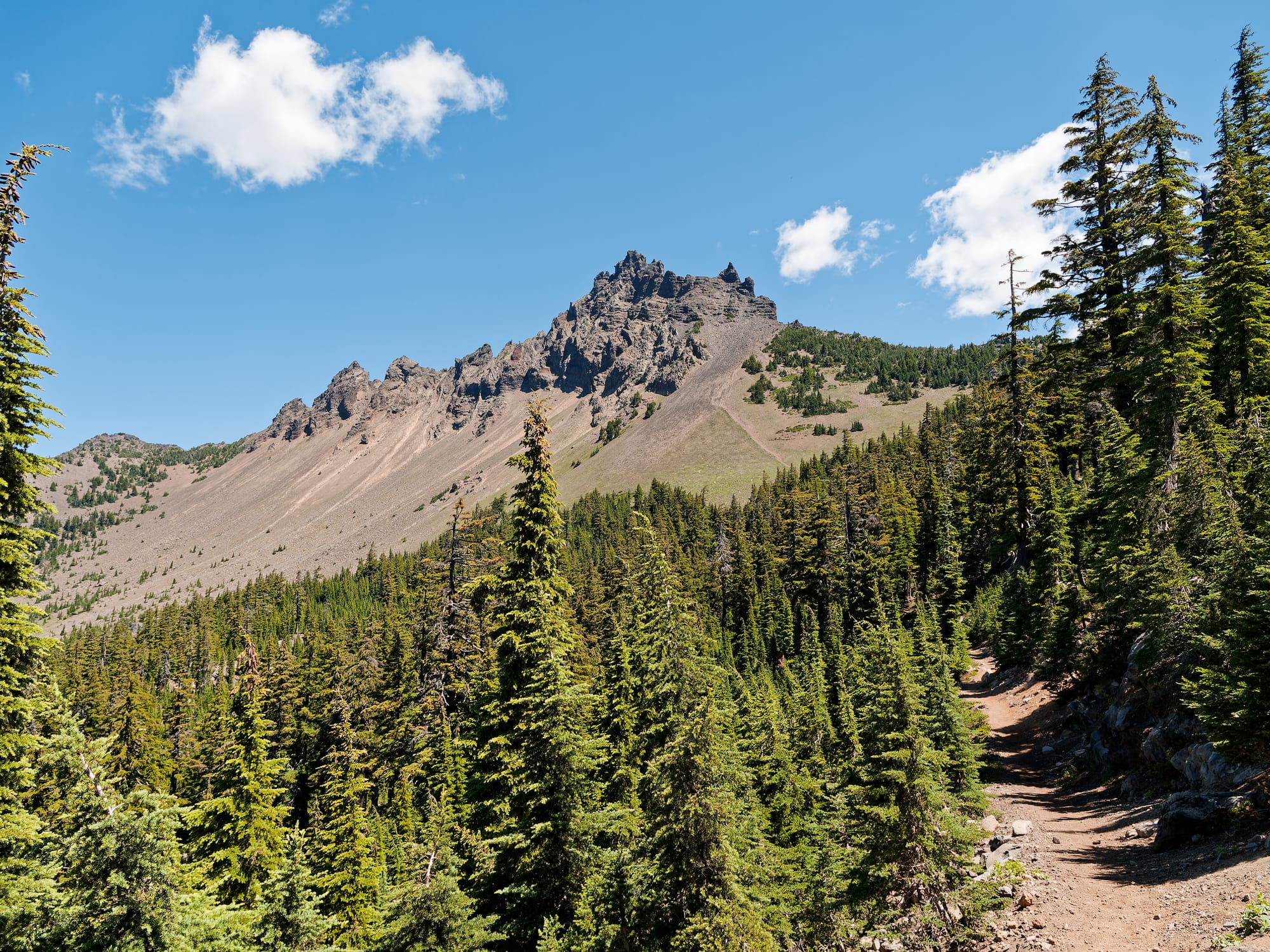 PCT Oregon