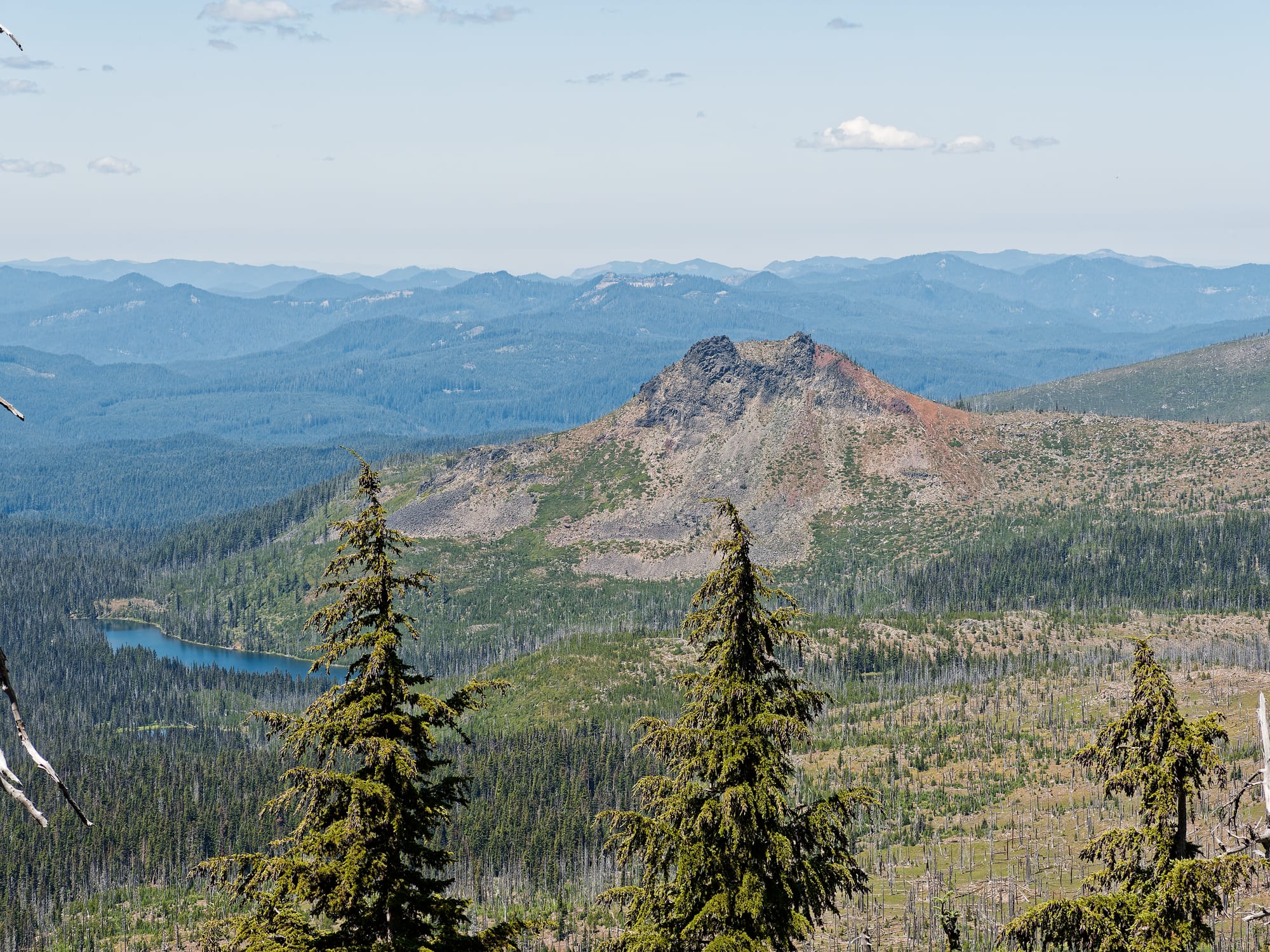 PCT Oregon