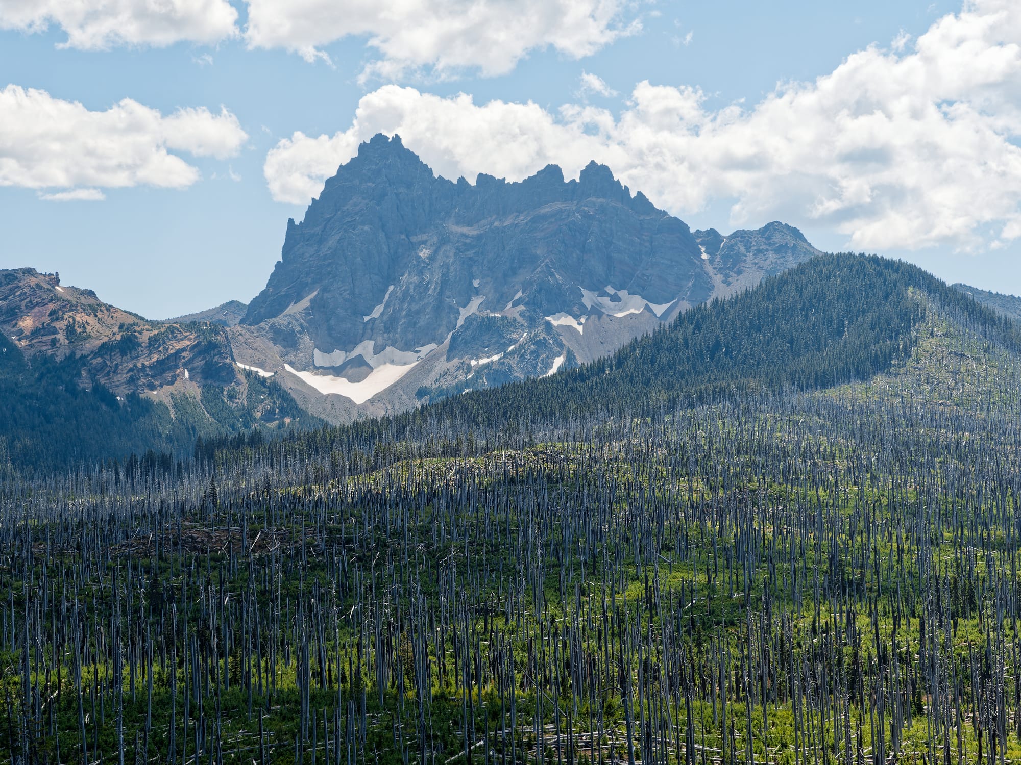 PCT Oregon