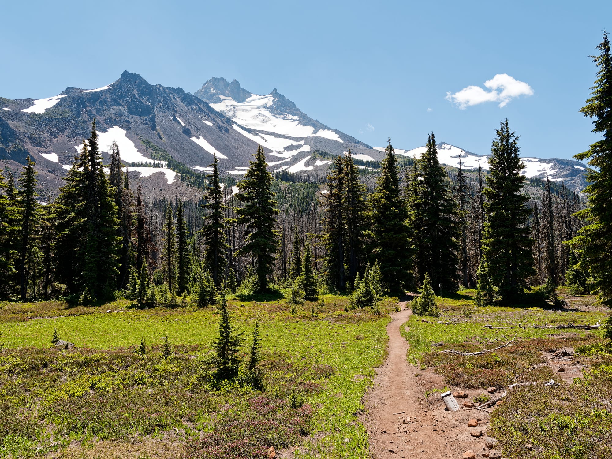 PCT Oregon