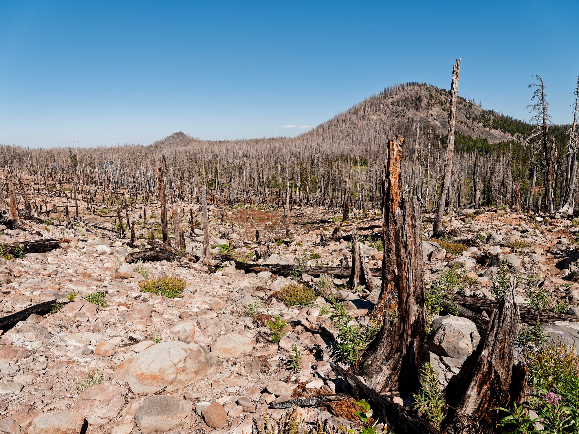 PCT Oregon