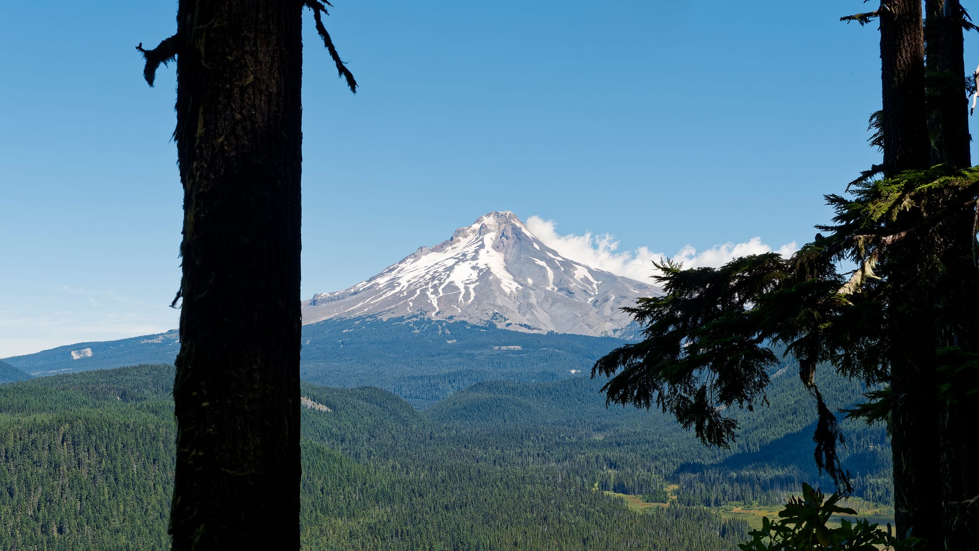 PCT Oregon