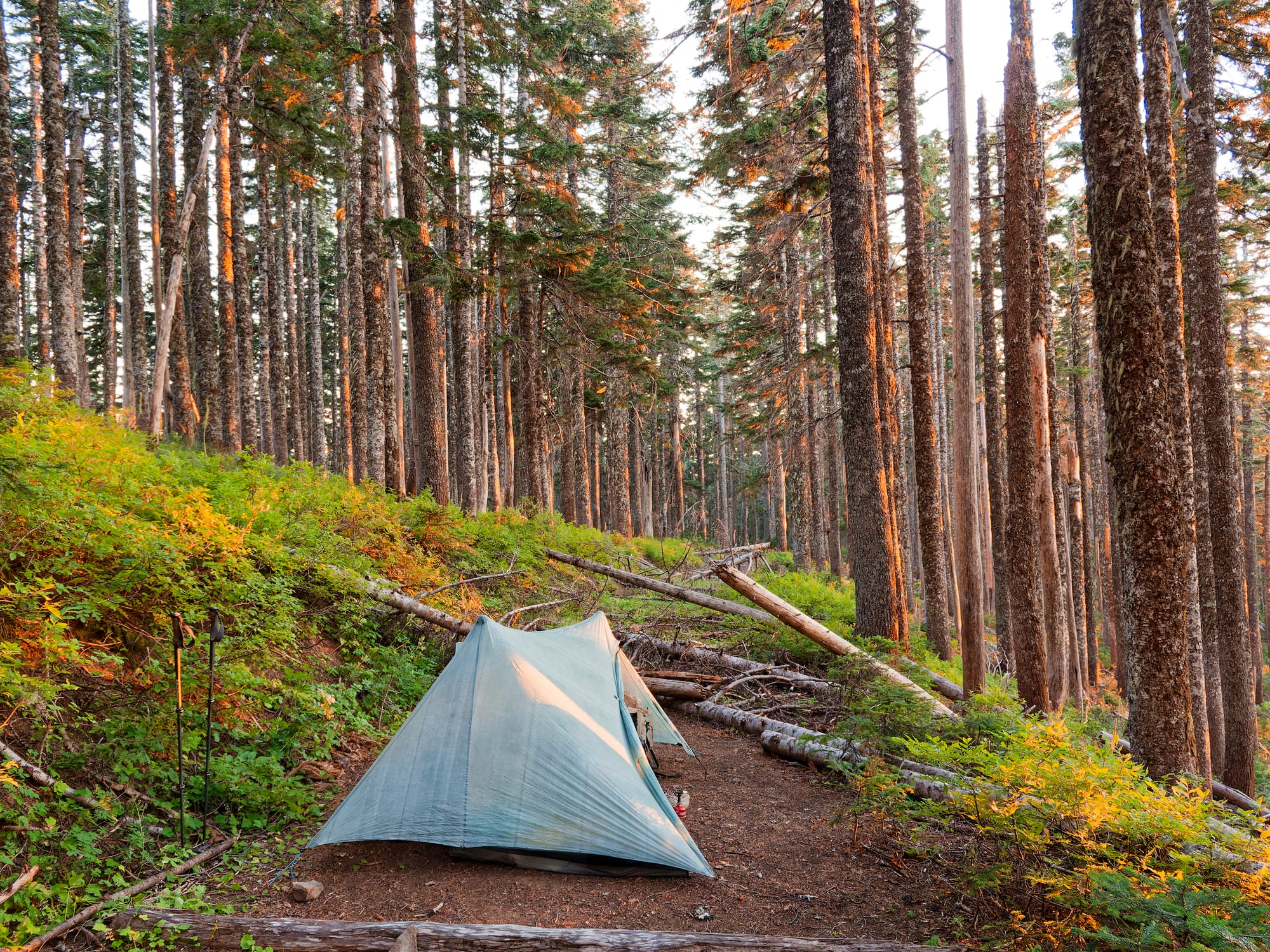 PCT Oregon